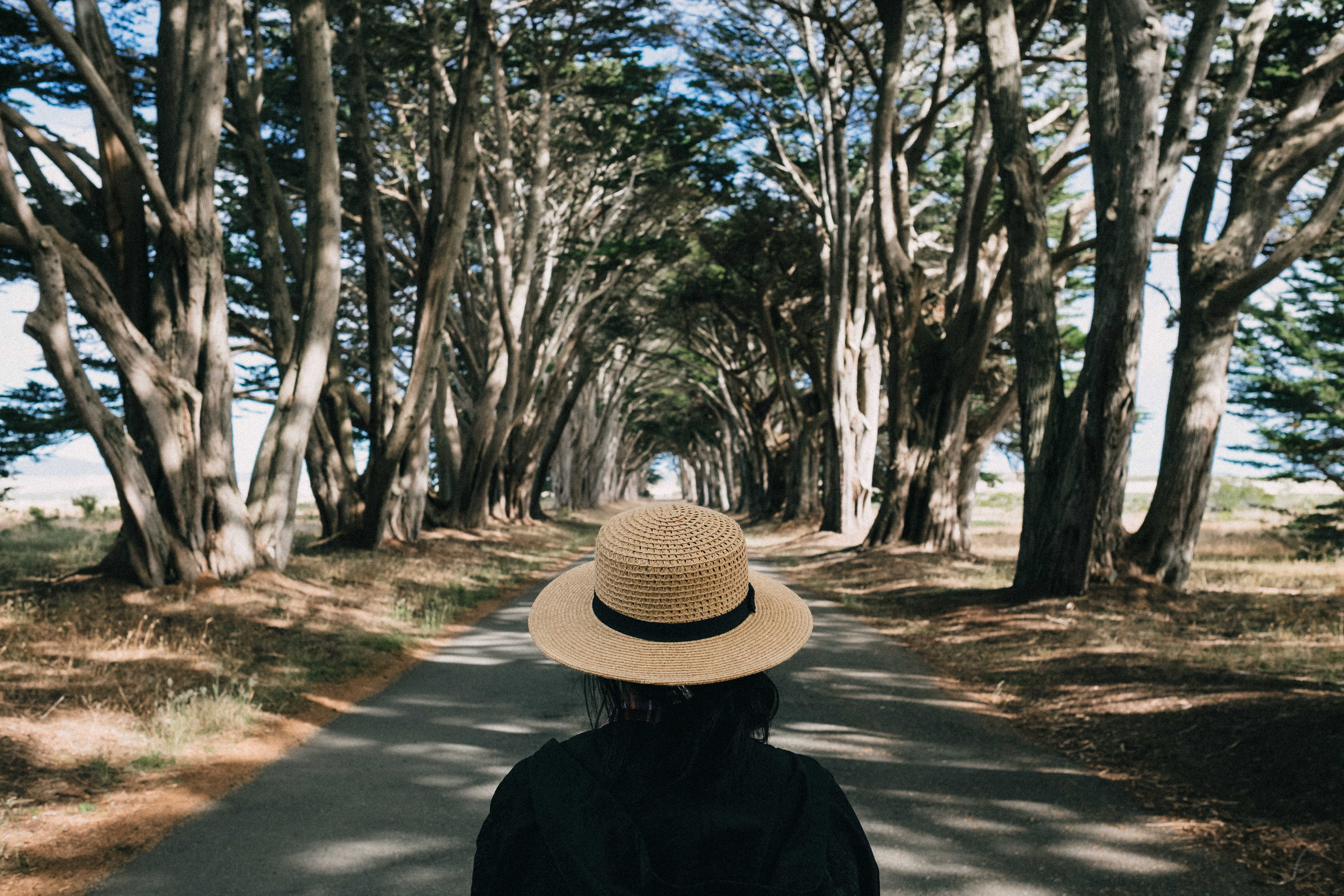 Girl Hat Road Trees Aesthetics