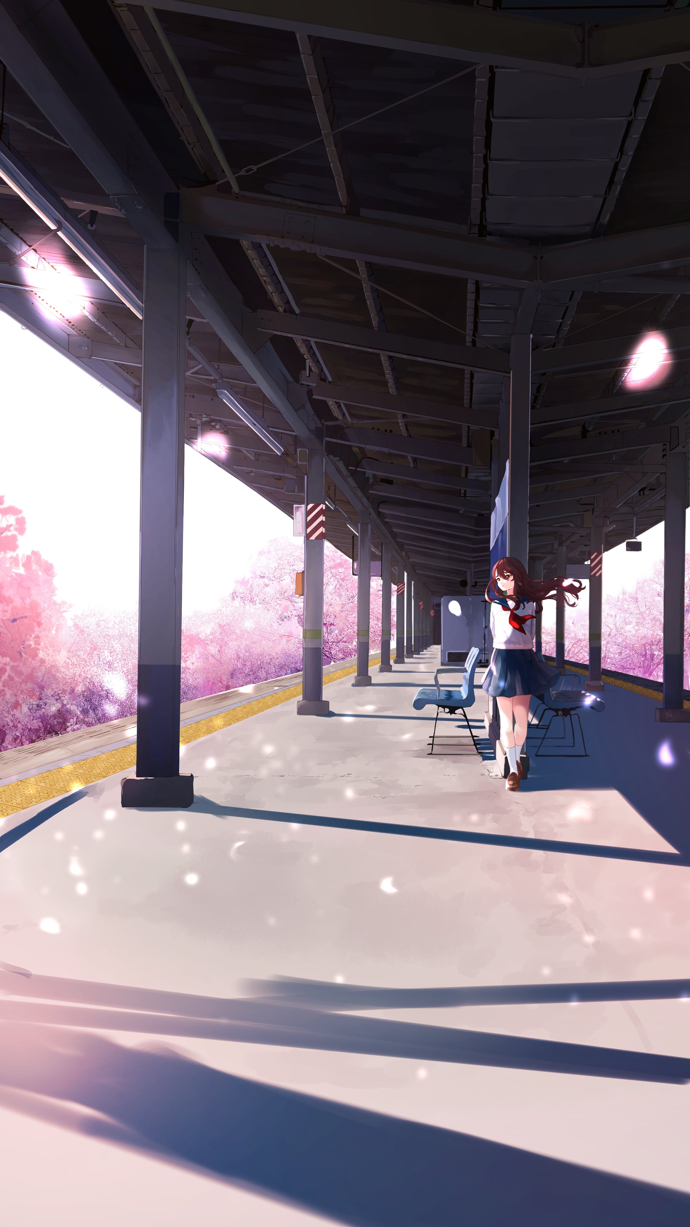 Girl Platform Sakura Petals Anime Art