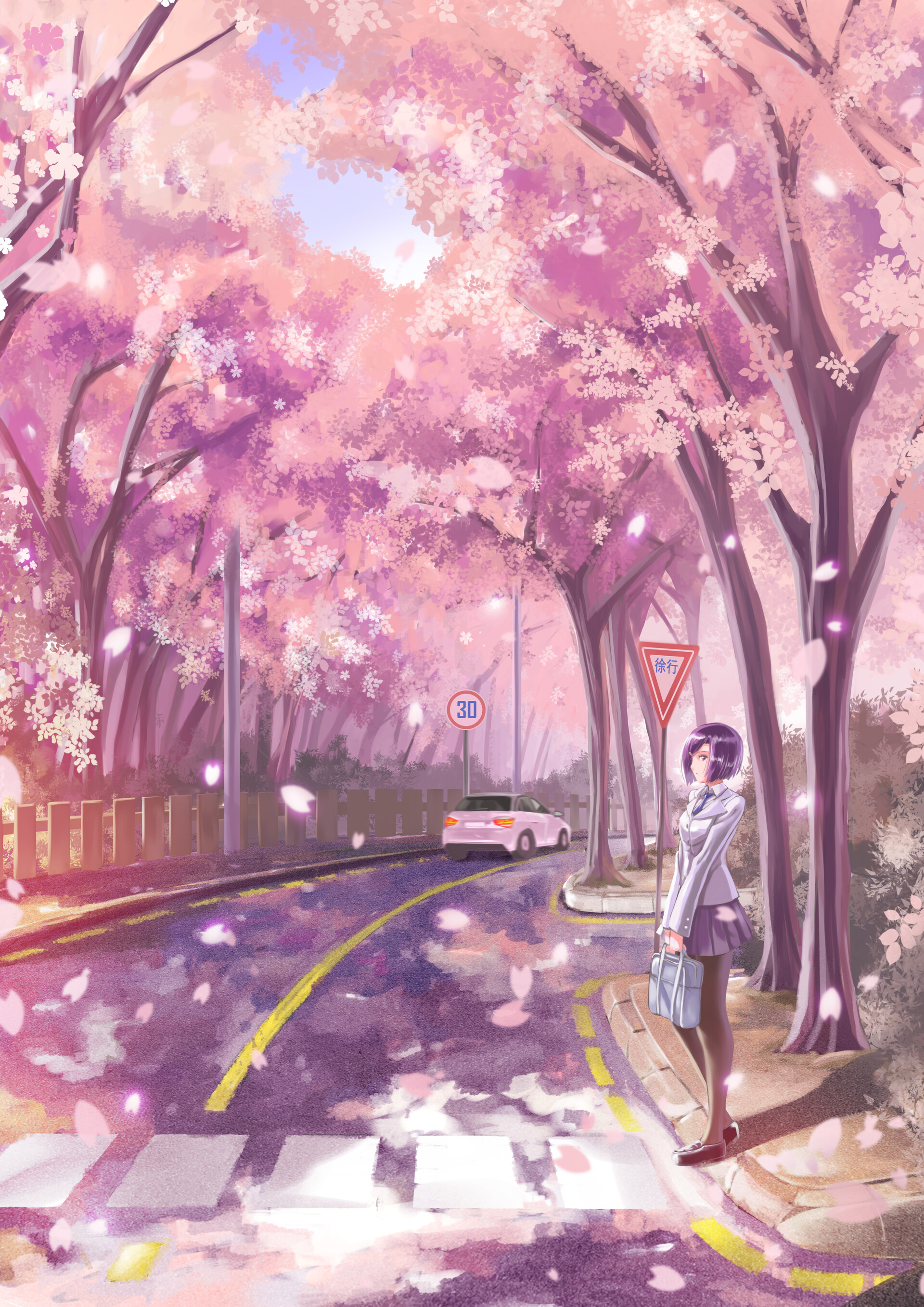Girl Road Transition Sakura Live Anime Art