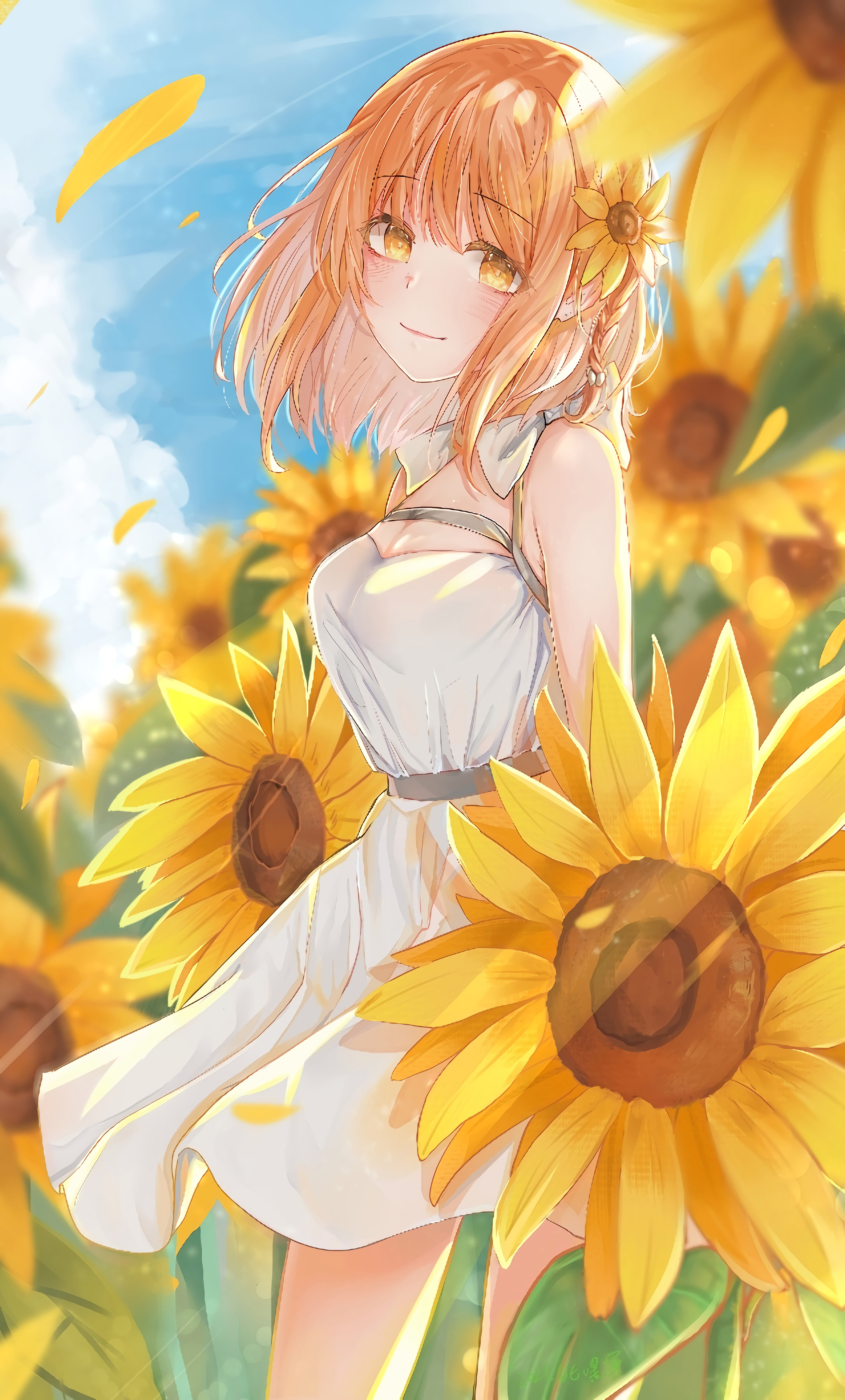 Girl Sunflowers Flowers Field Anime