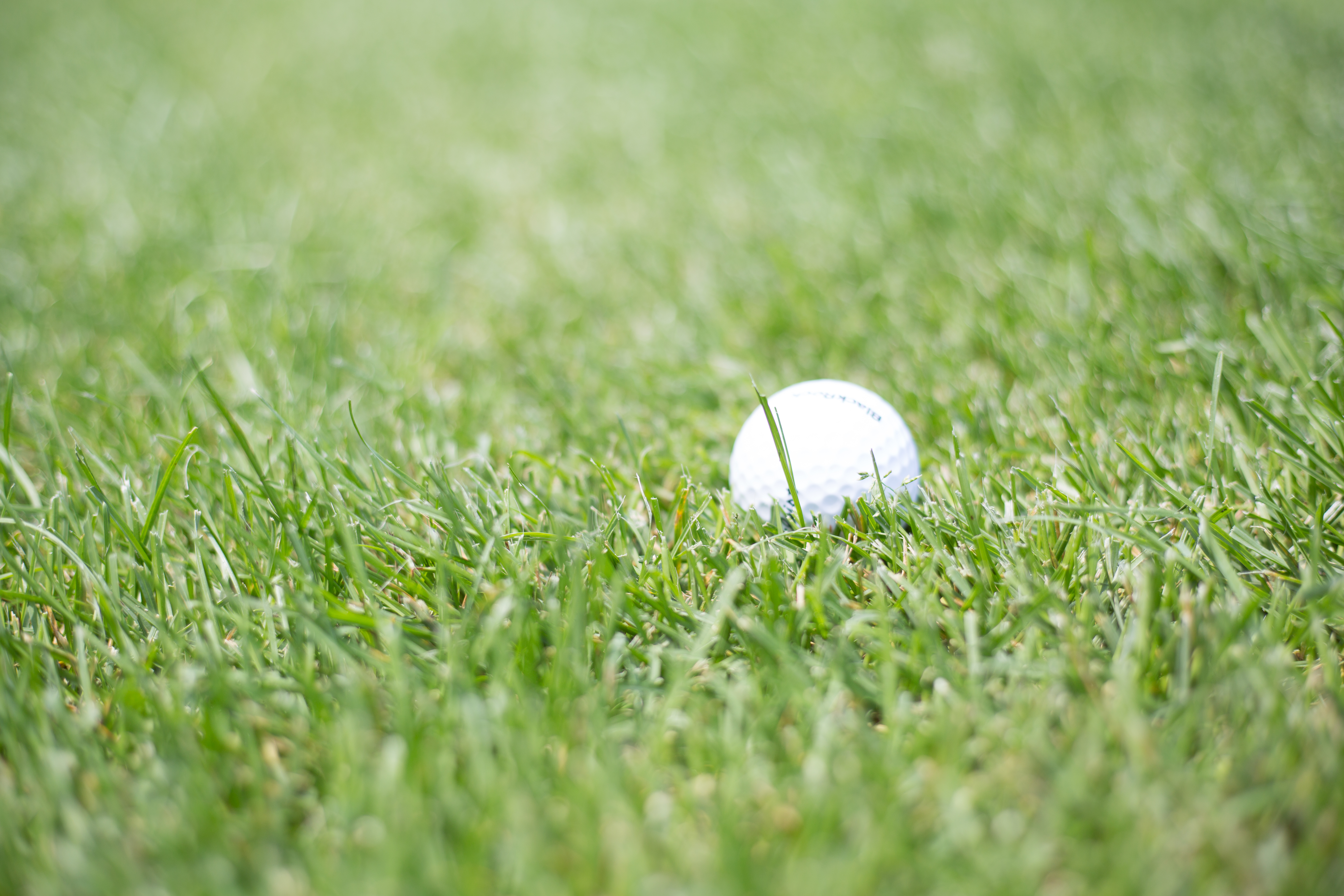 Golf Ball Grass Sport