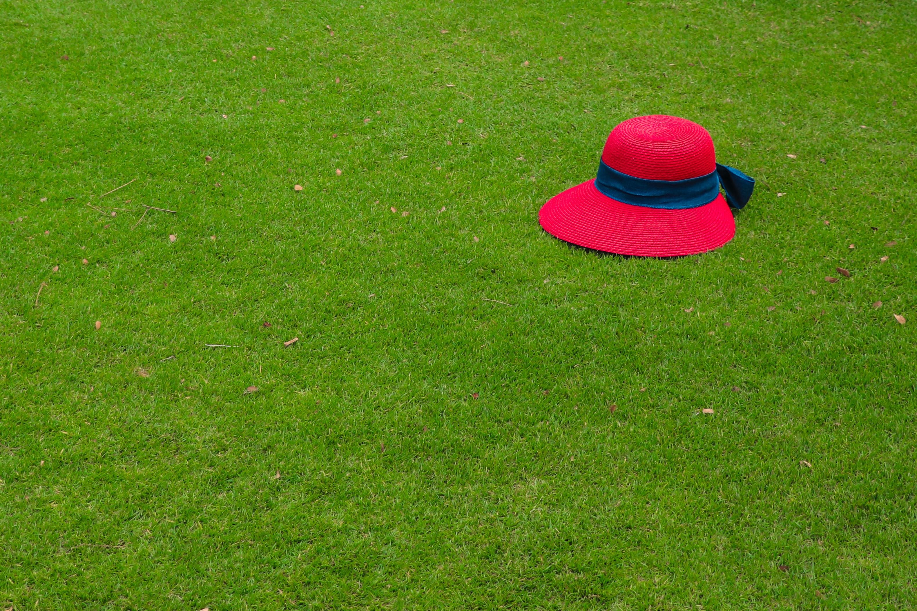 Hat Grass Lawn Green Red