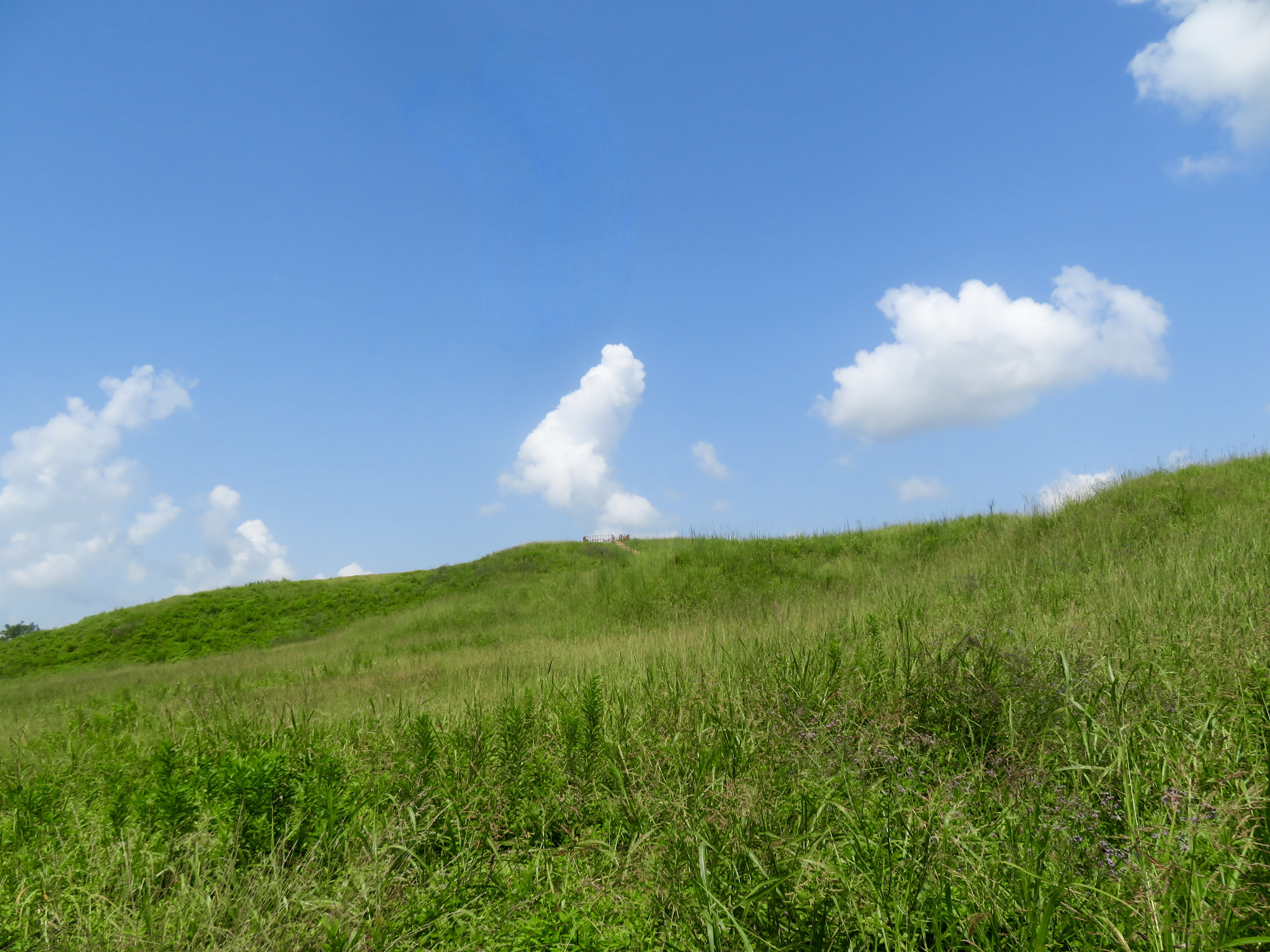 Hill Grass Clouds Nature Landscape