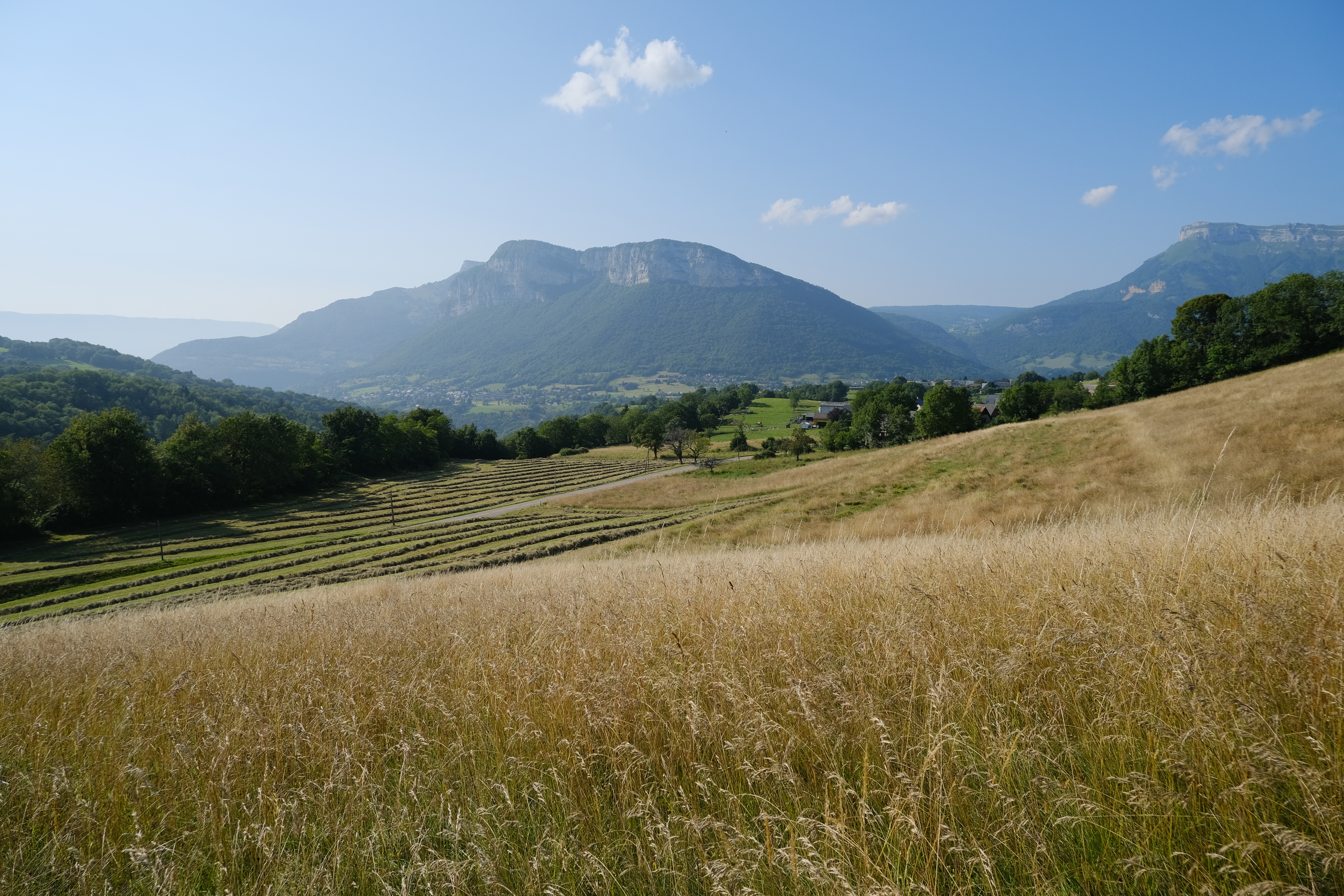 Hills Field Trees Landscape Nature