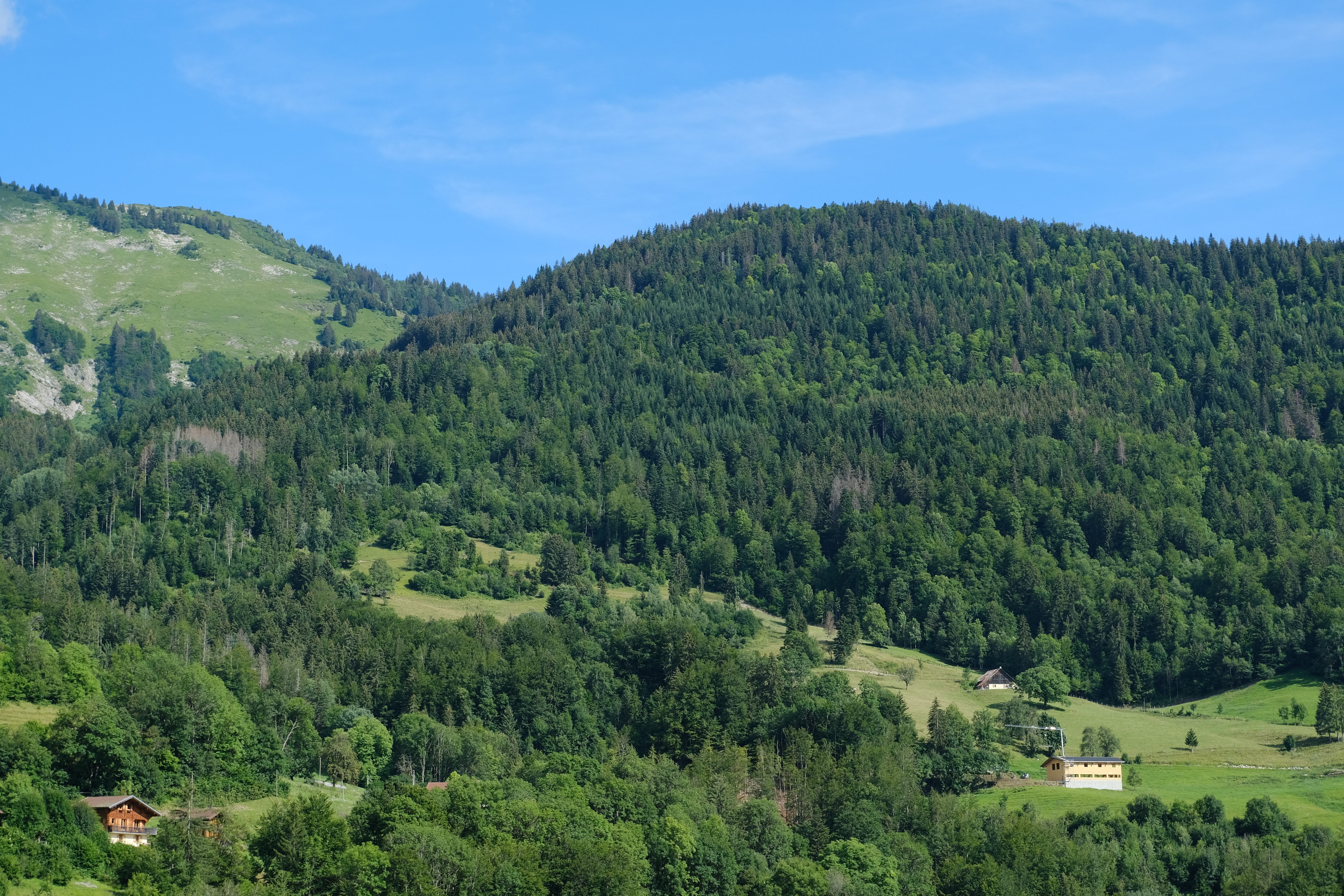 Hills Forest Trees Nature Landscape Aerial-view