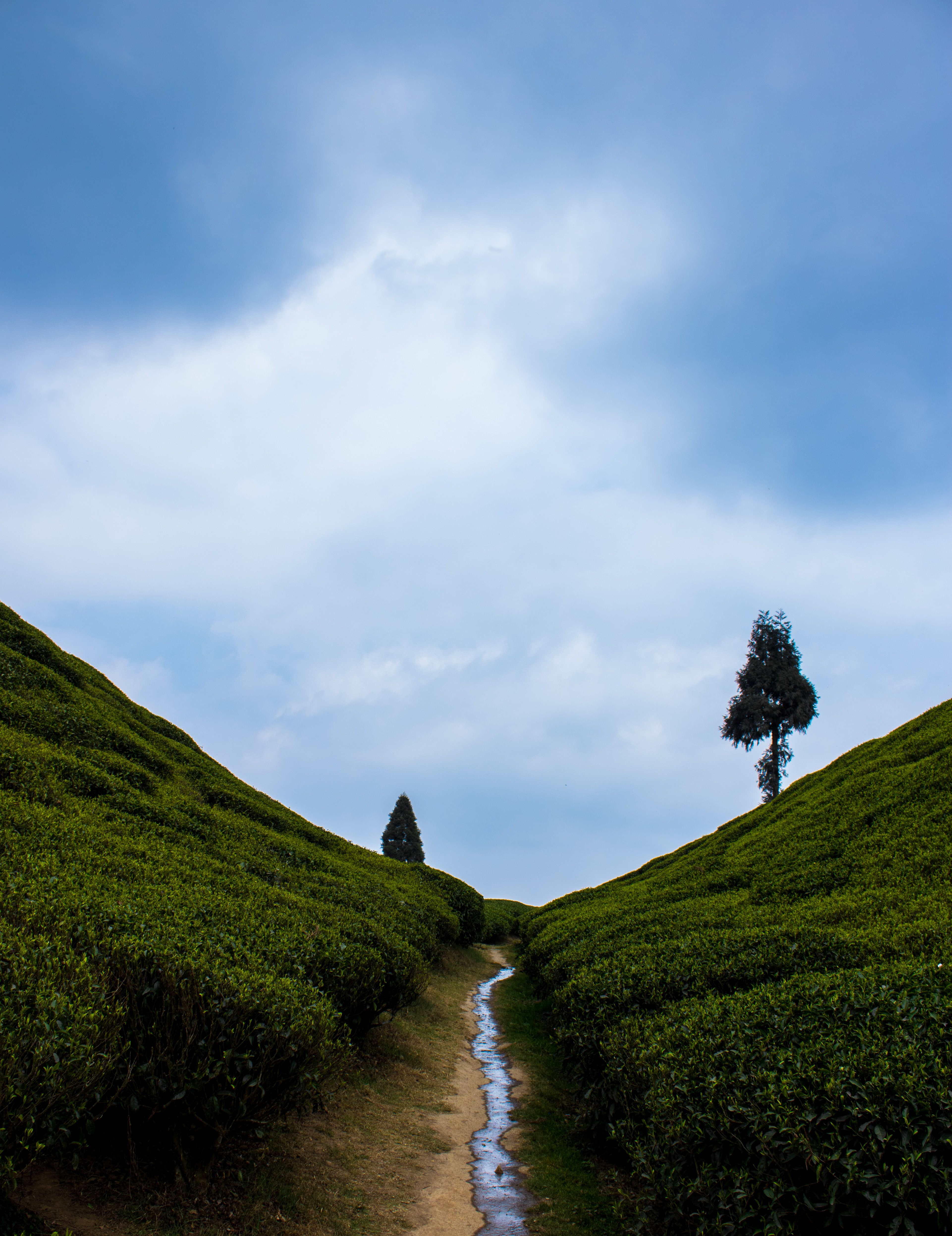 Hills Greenery Stream Landscape Nature