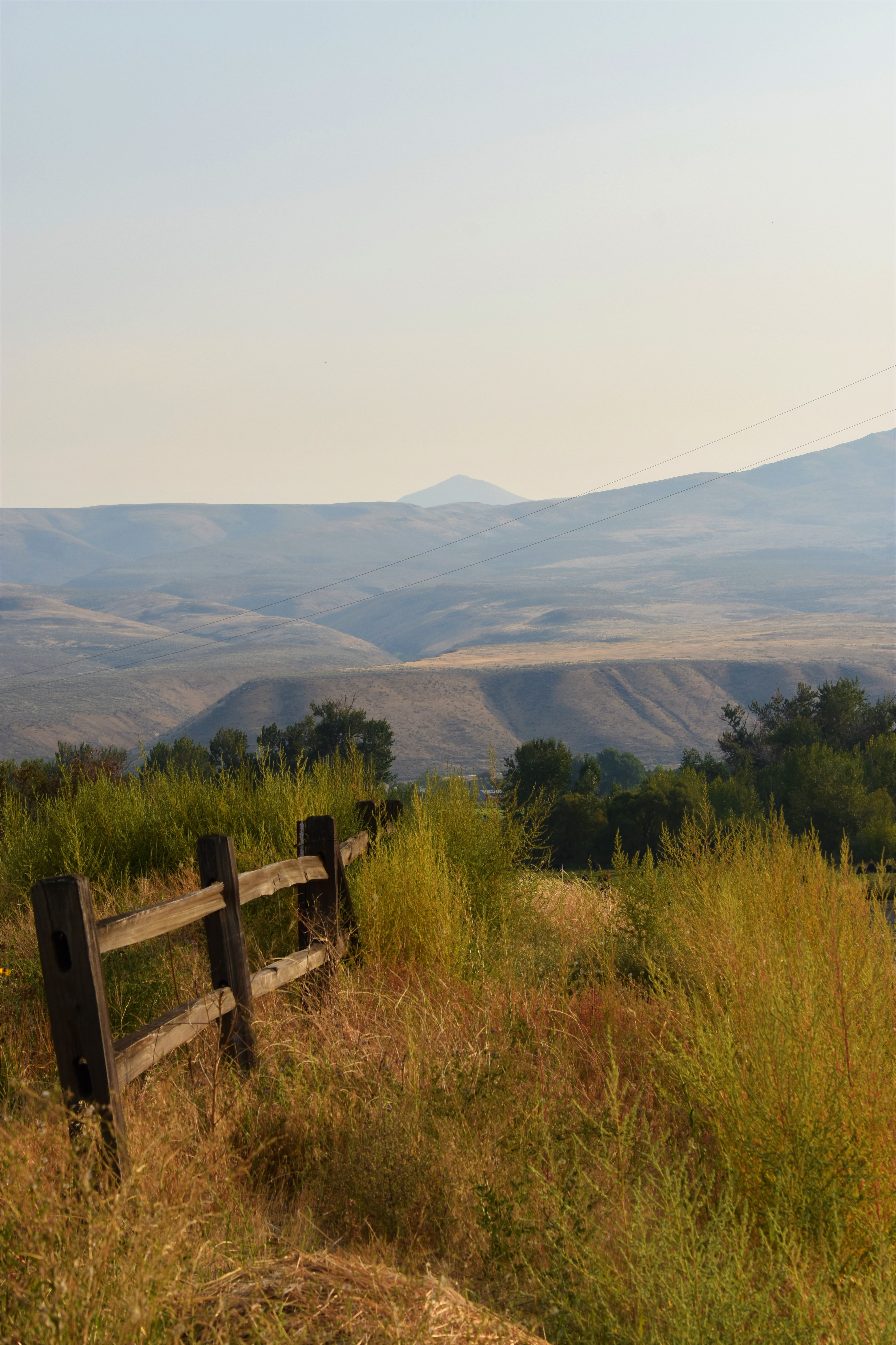 Hills Trees Fence Nature Landscape