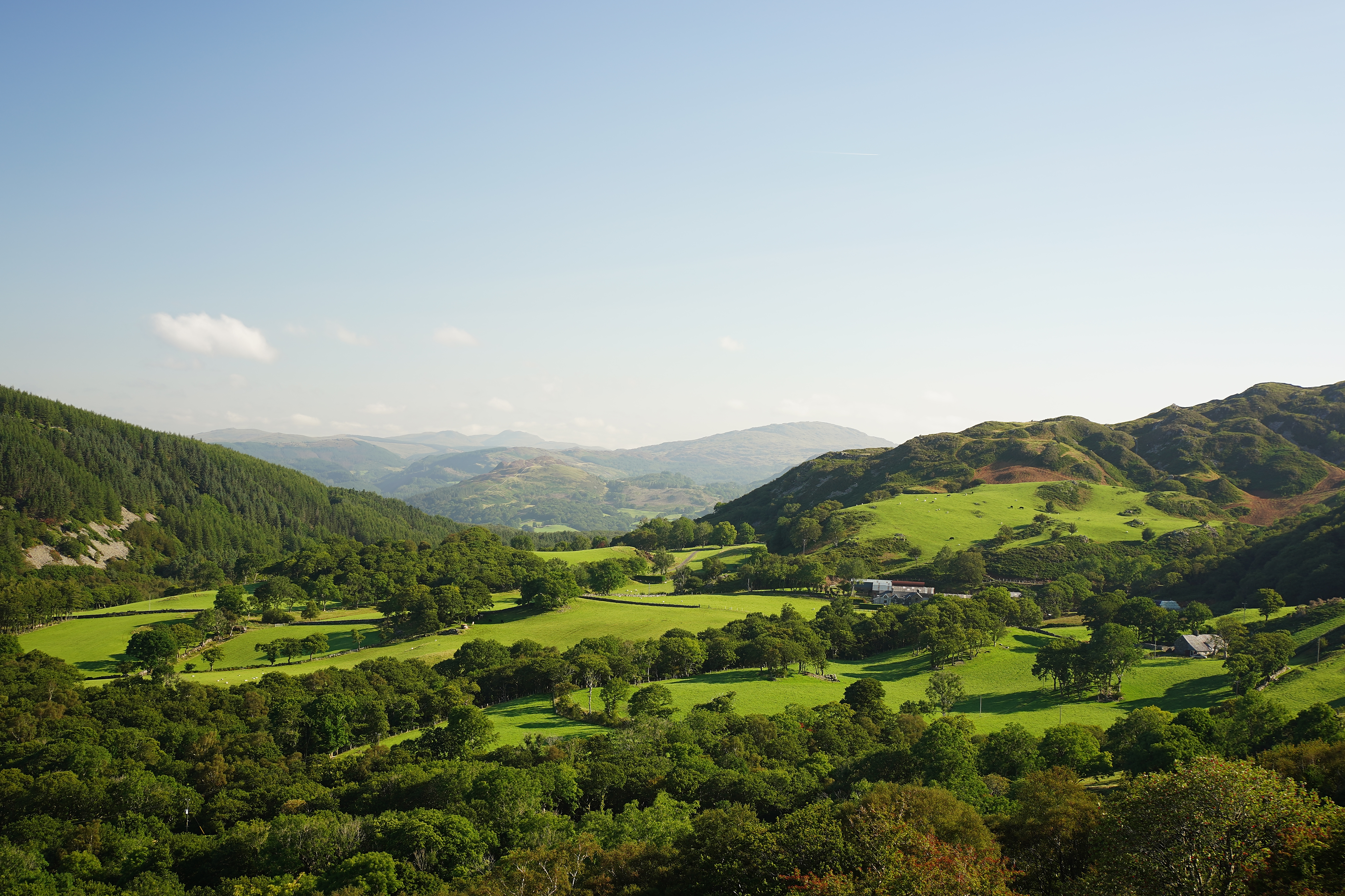 Hills Trees Houses Landscape Aerial-view