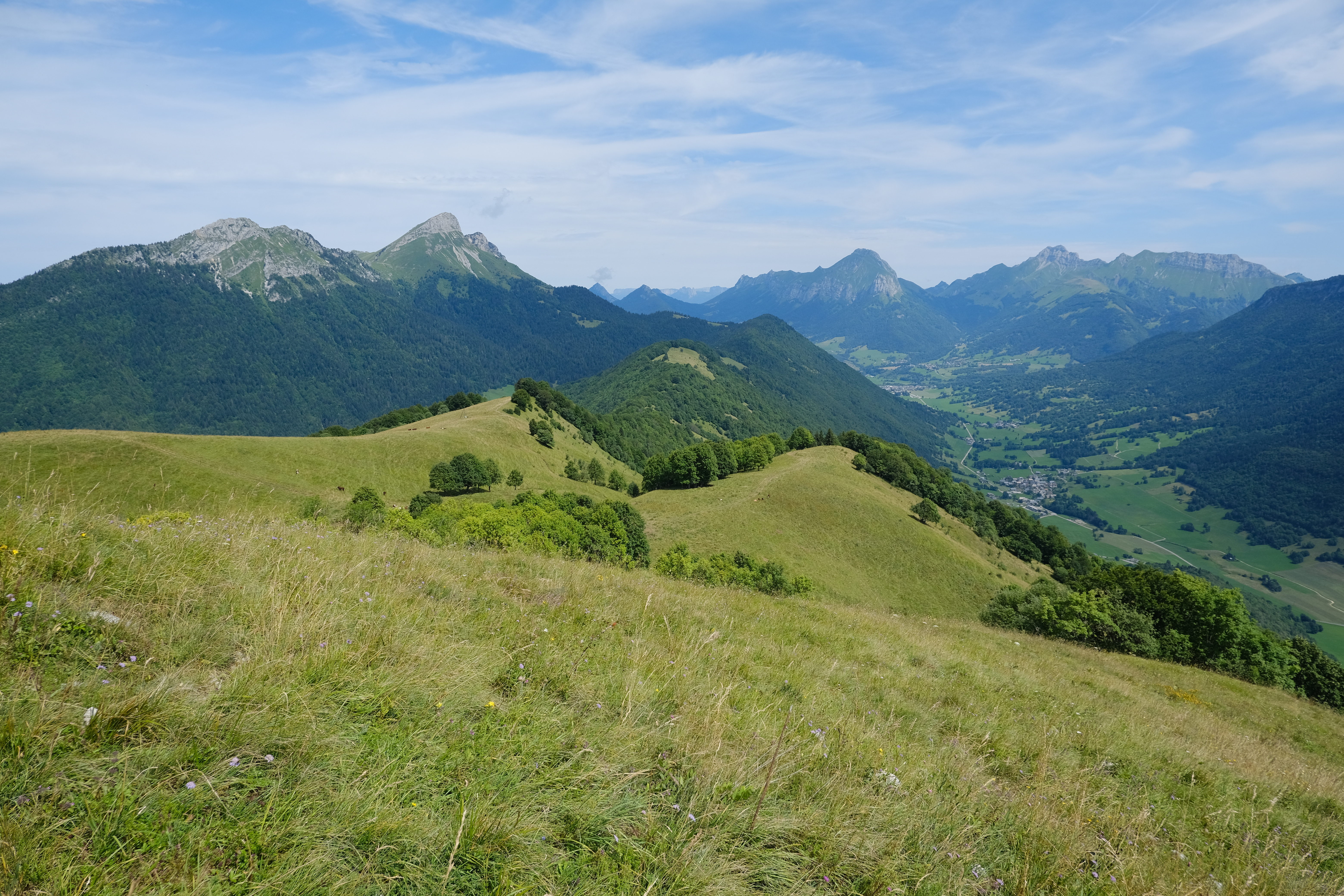 Hills Trees Nature Landscape Aerial-view Green