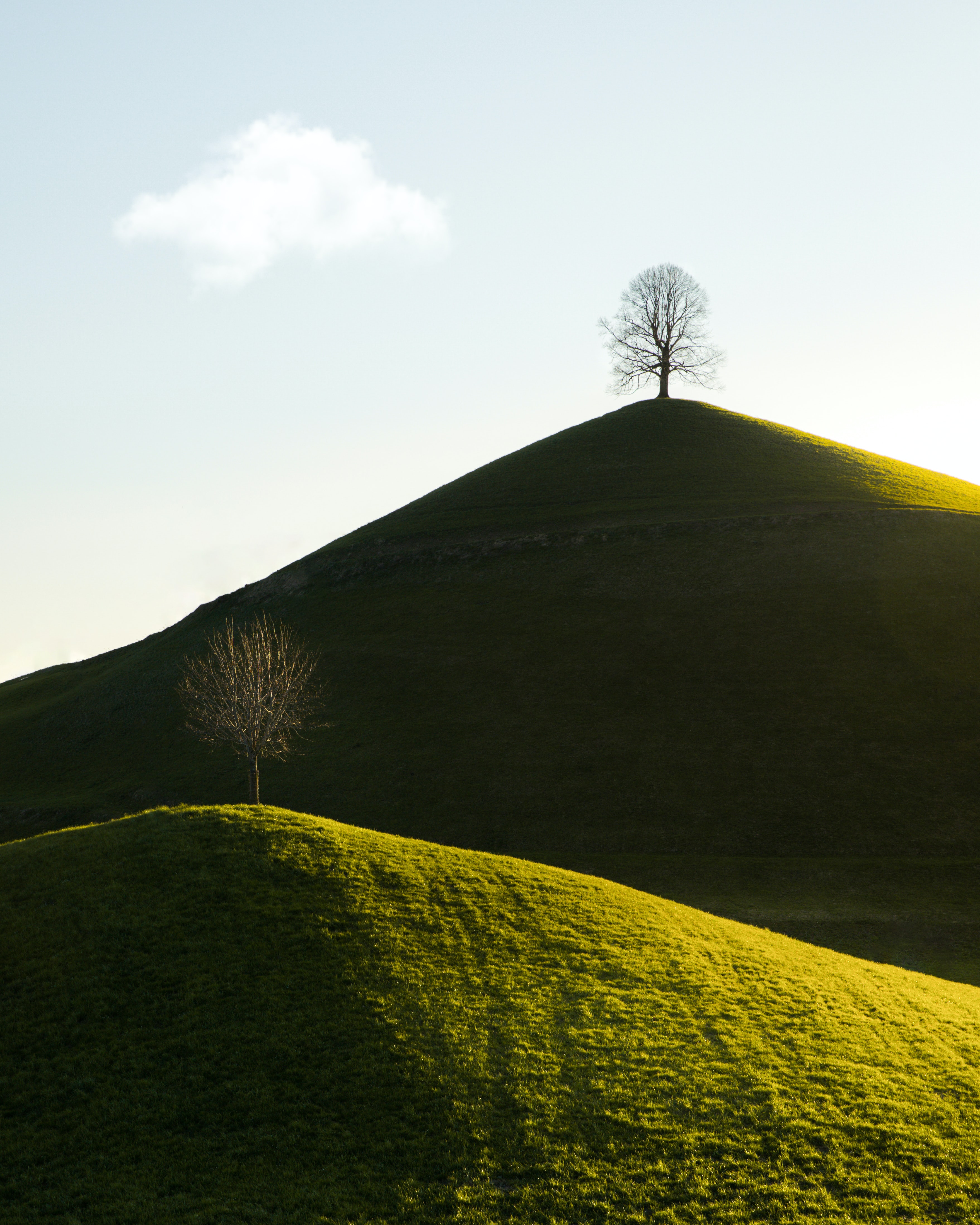 Hills Trees Nature Landscape Green