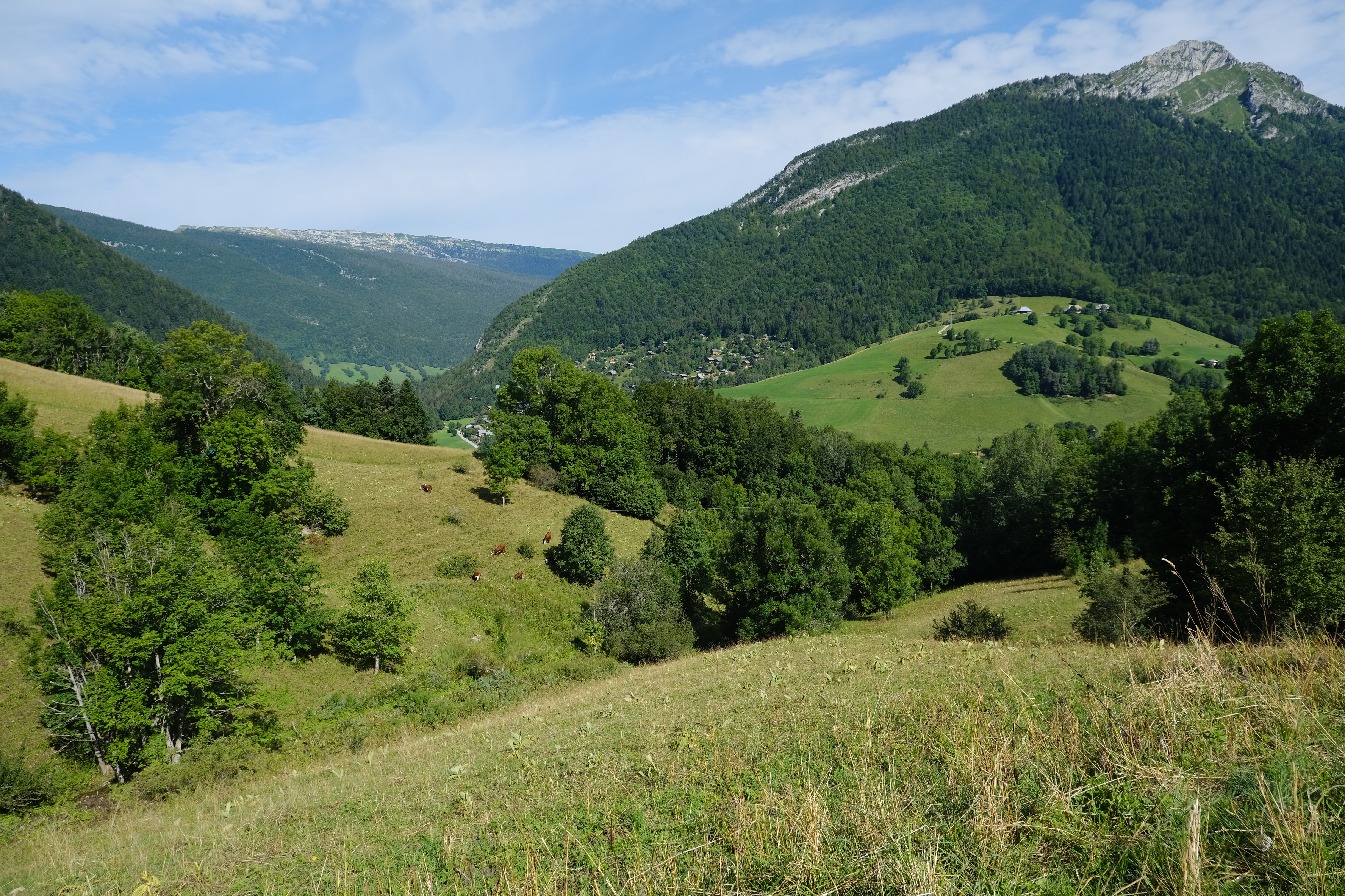 Hills Trees Valley Nature Landscape