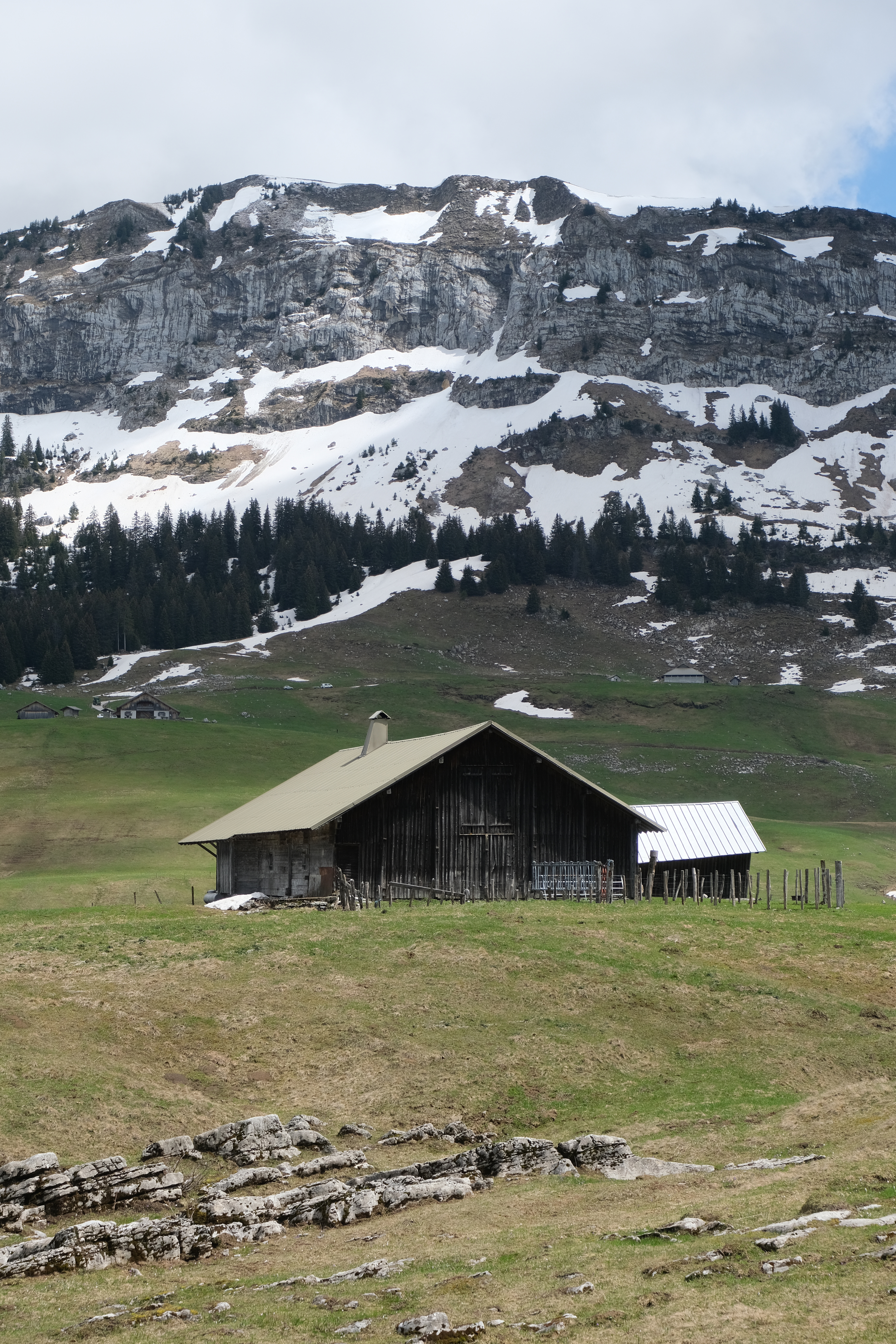 House Mountains Lawn Landscape Nature