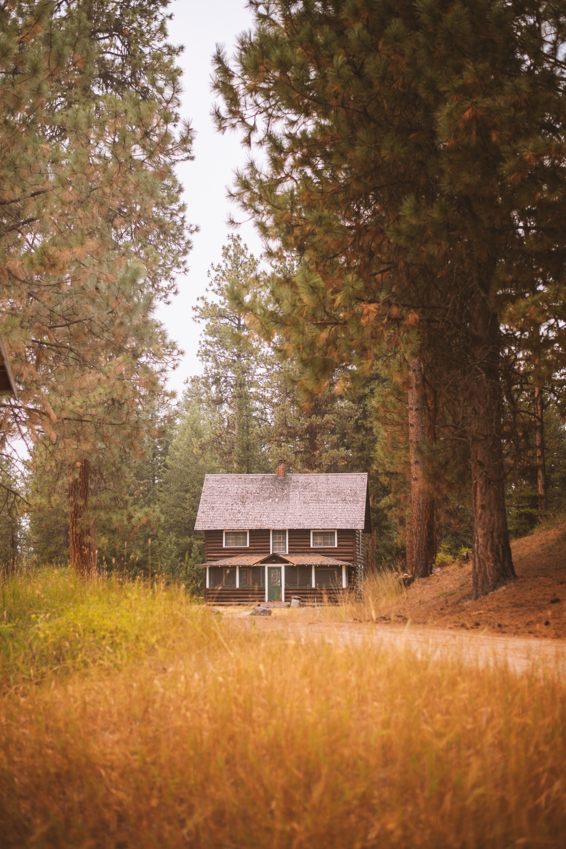 House Path Forest Trees Nature