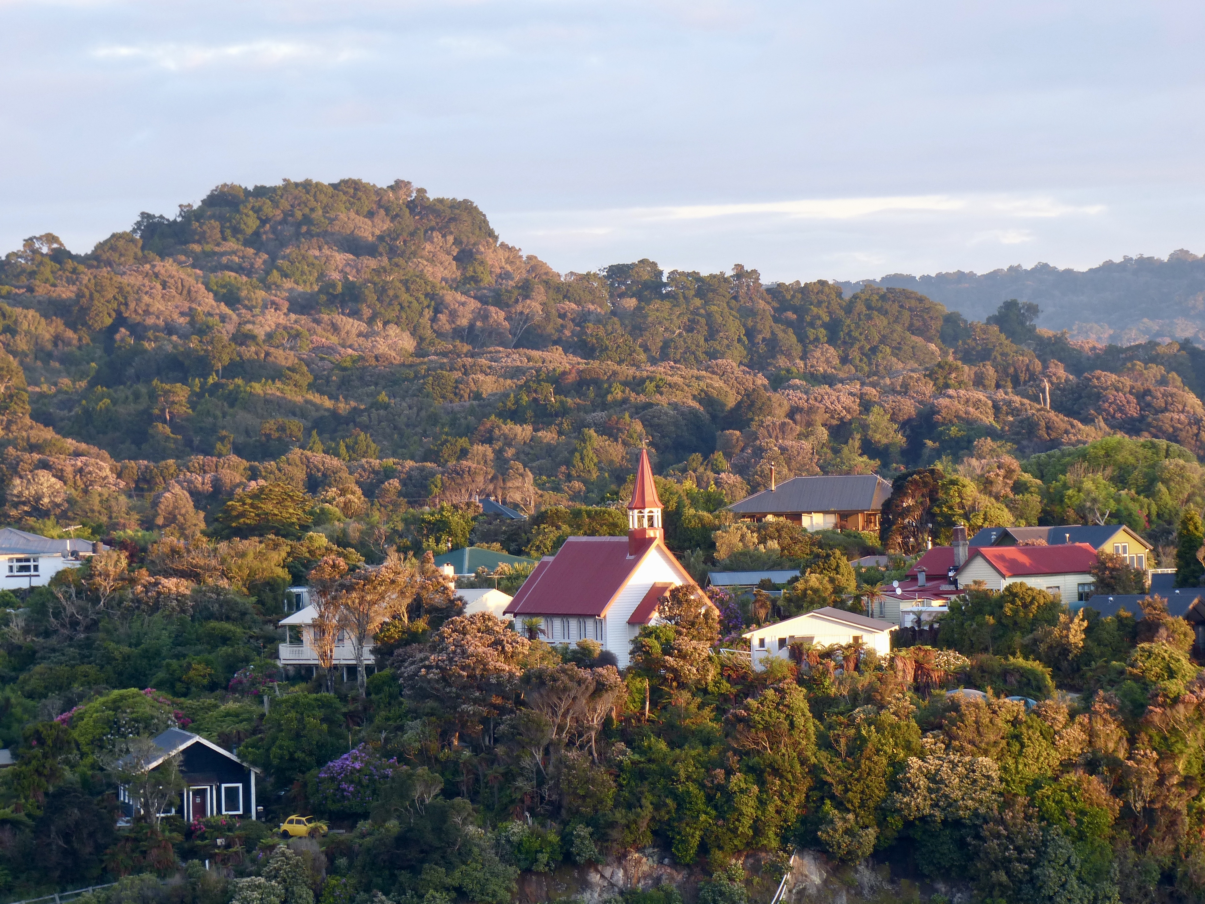 Houses Trees Hills Aerial-view