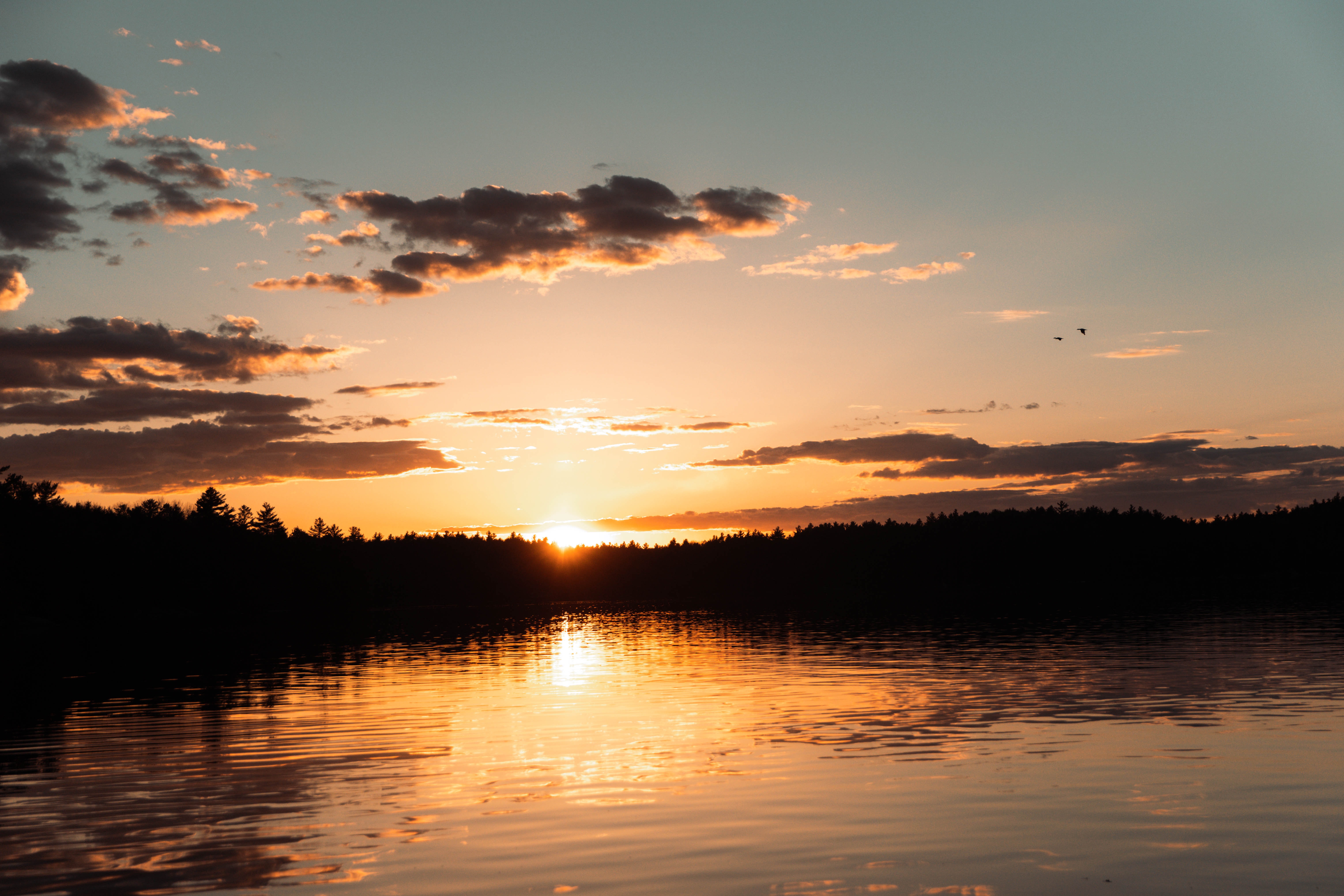 Lake Forest Sun Sunset Dark