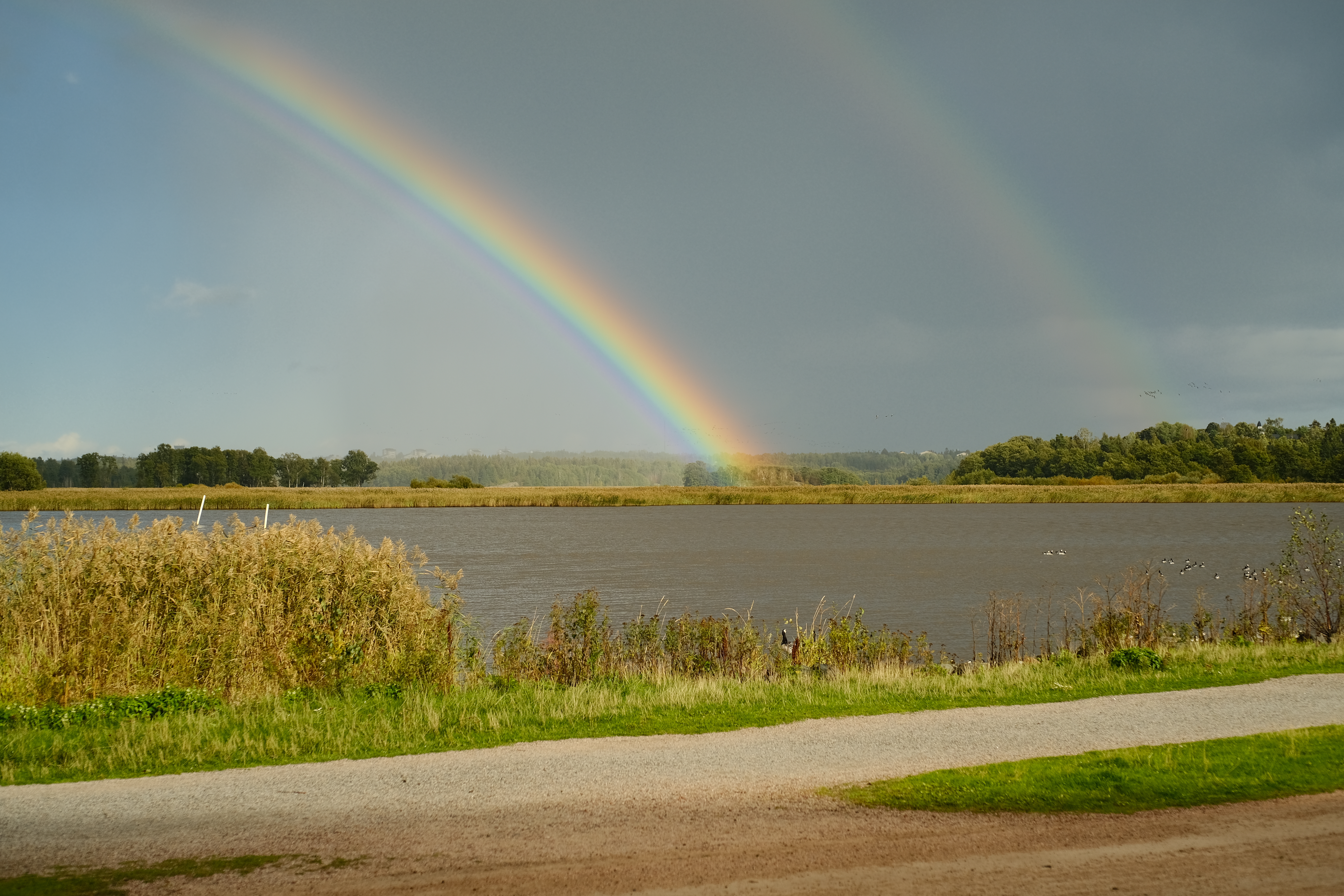 Lake Horizon Rainbow Landscape Nature