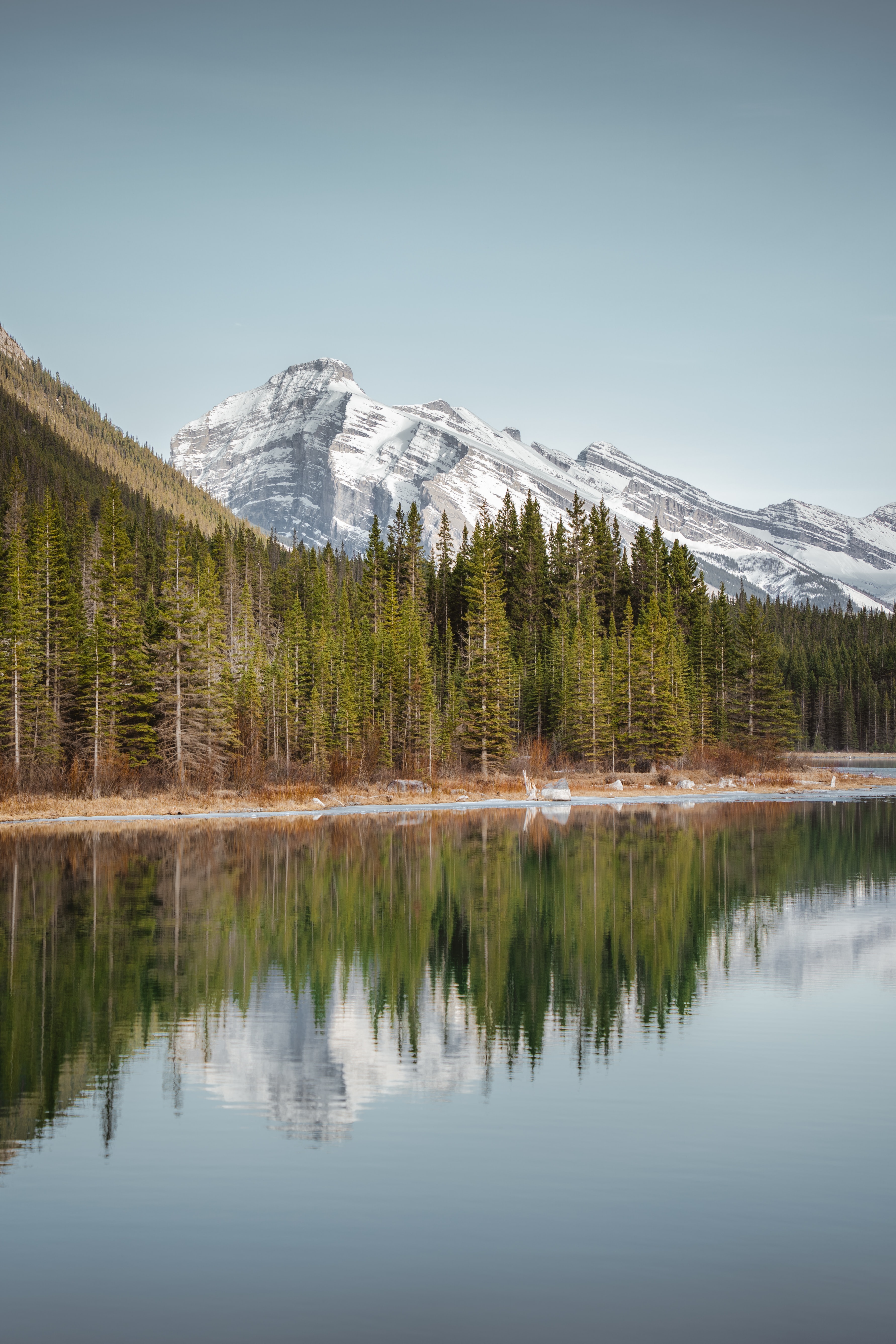 Lake Mountains Forest Trees Landscape