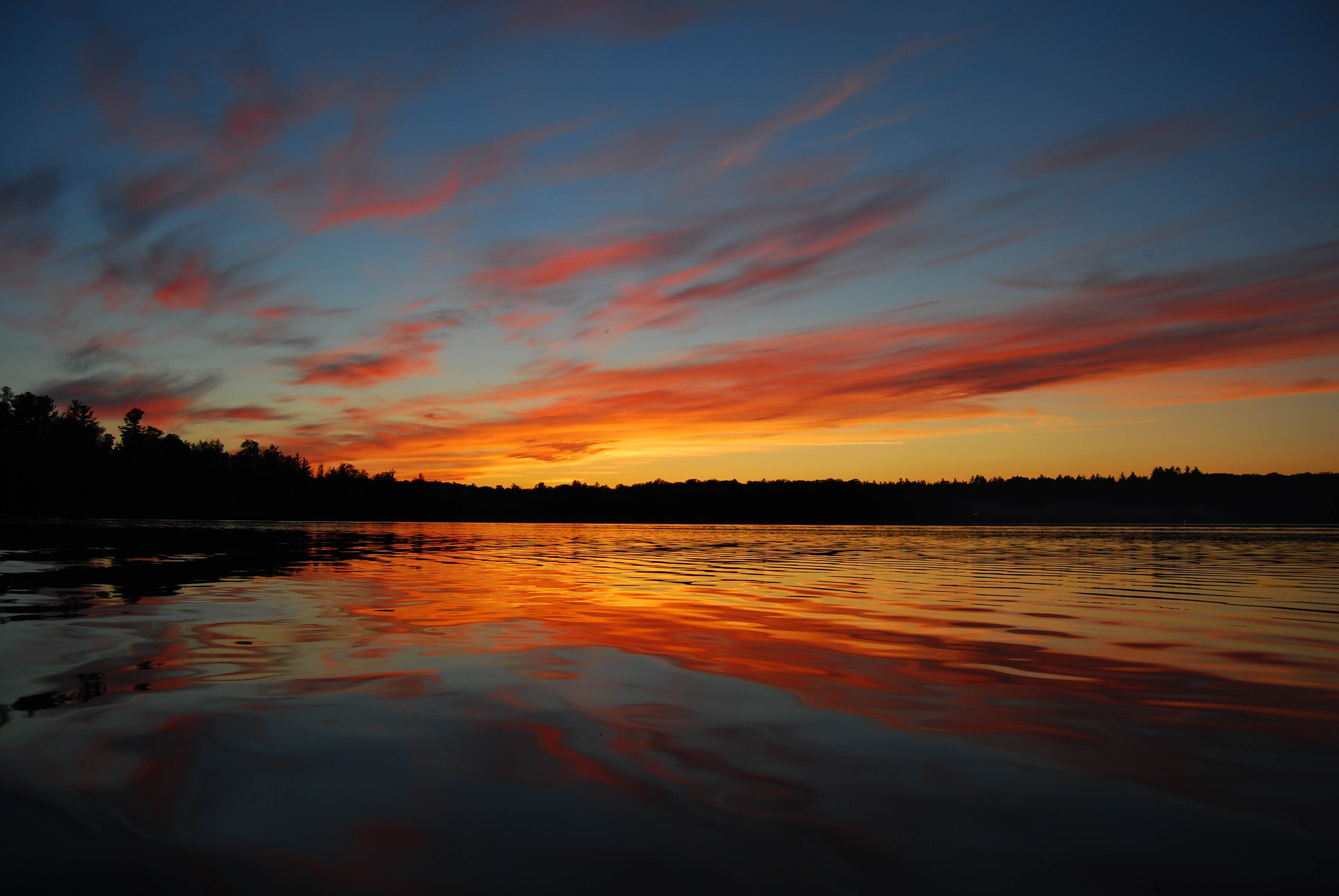 Lake Sunset Water Forest Trees Dark