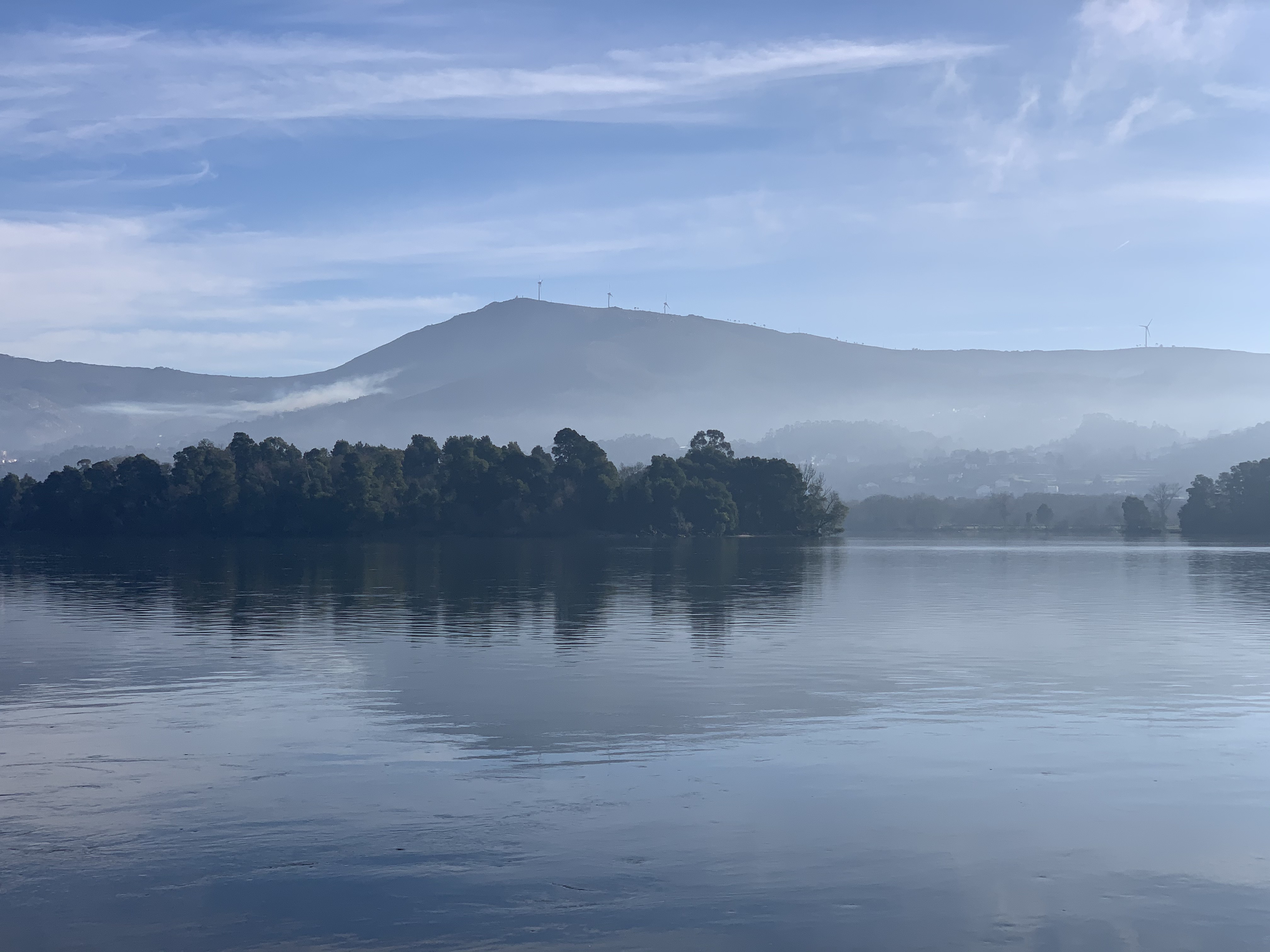 Lake Trees Fog Landscape Nature