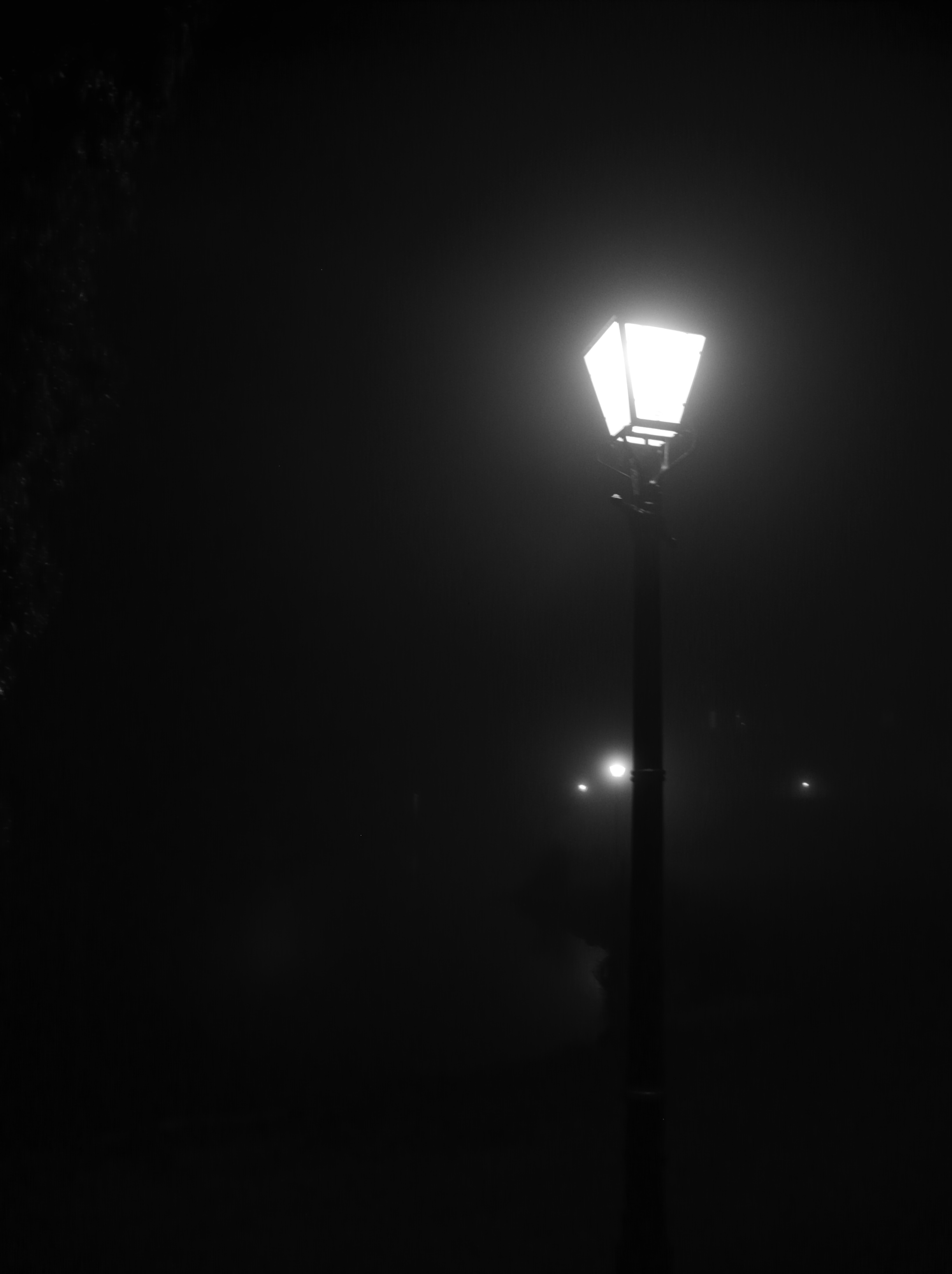 Lantern Light Fog Night Black-and-white Black