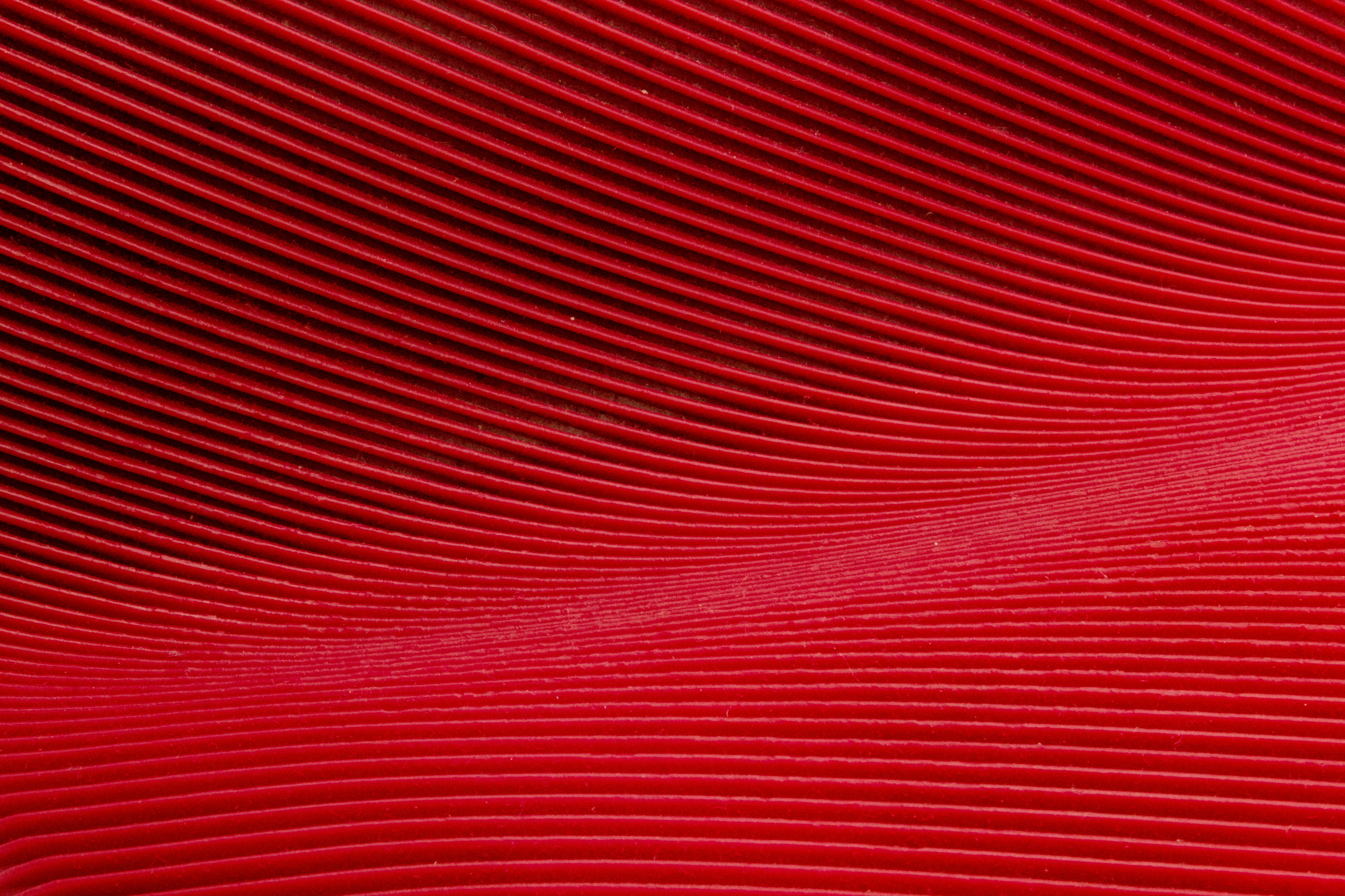 Lines Curves Texture Red