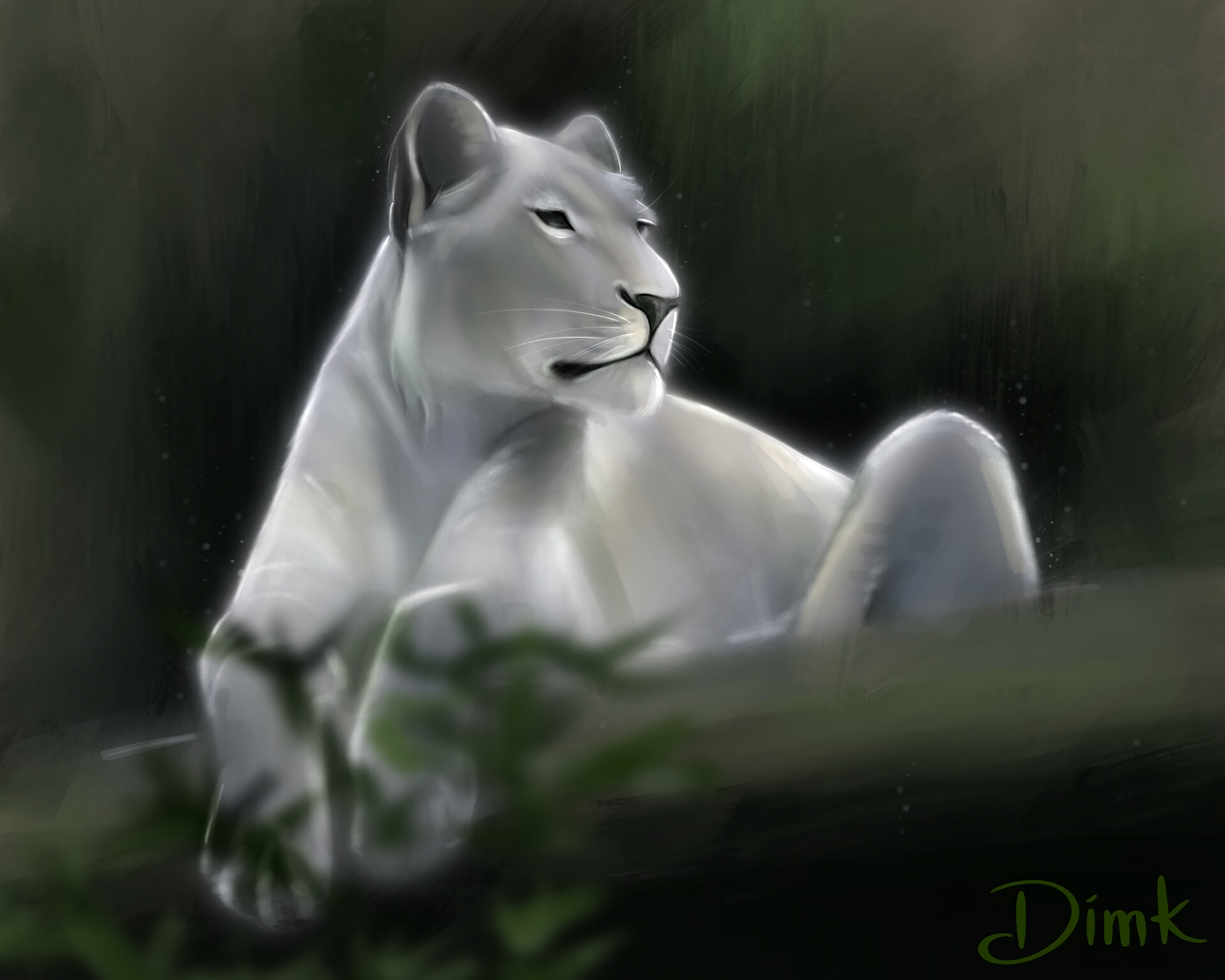 Lioness Lion Glance Predator Art