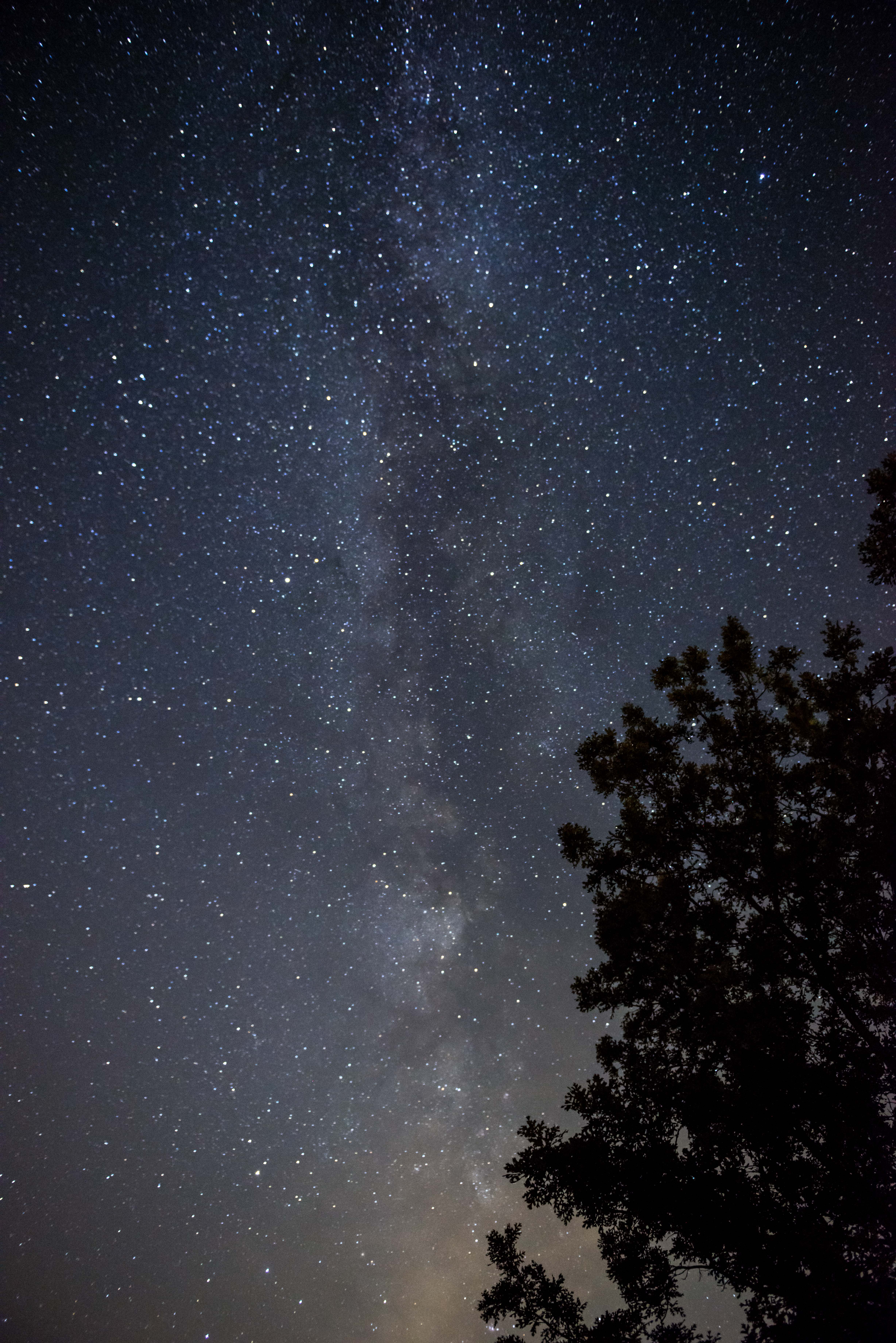 Milky-way Stars Sky Trees Night Dark