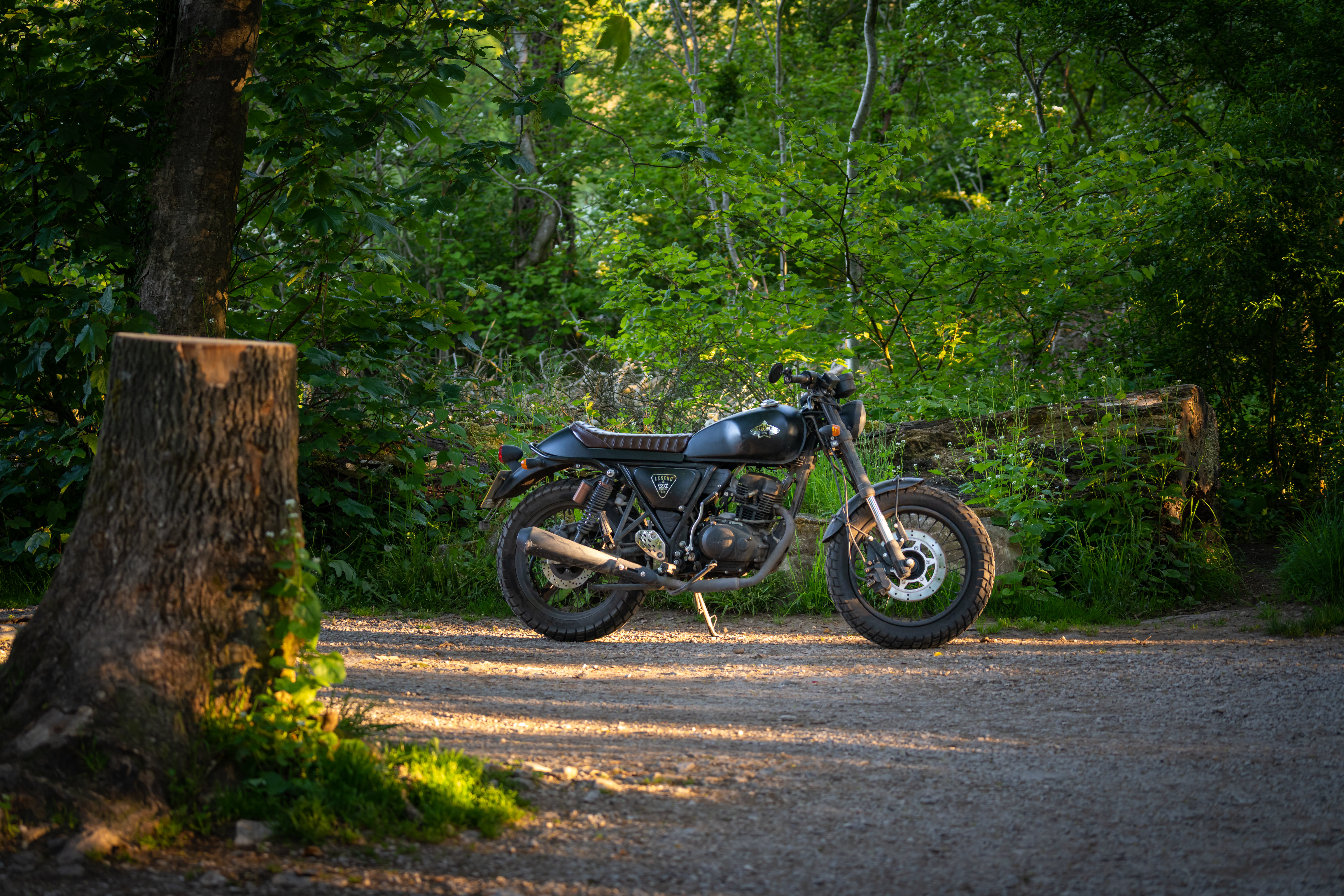 Motorcycle Bike Black Forest Trees