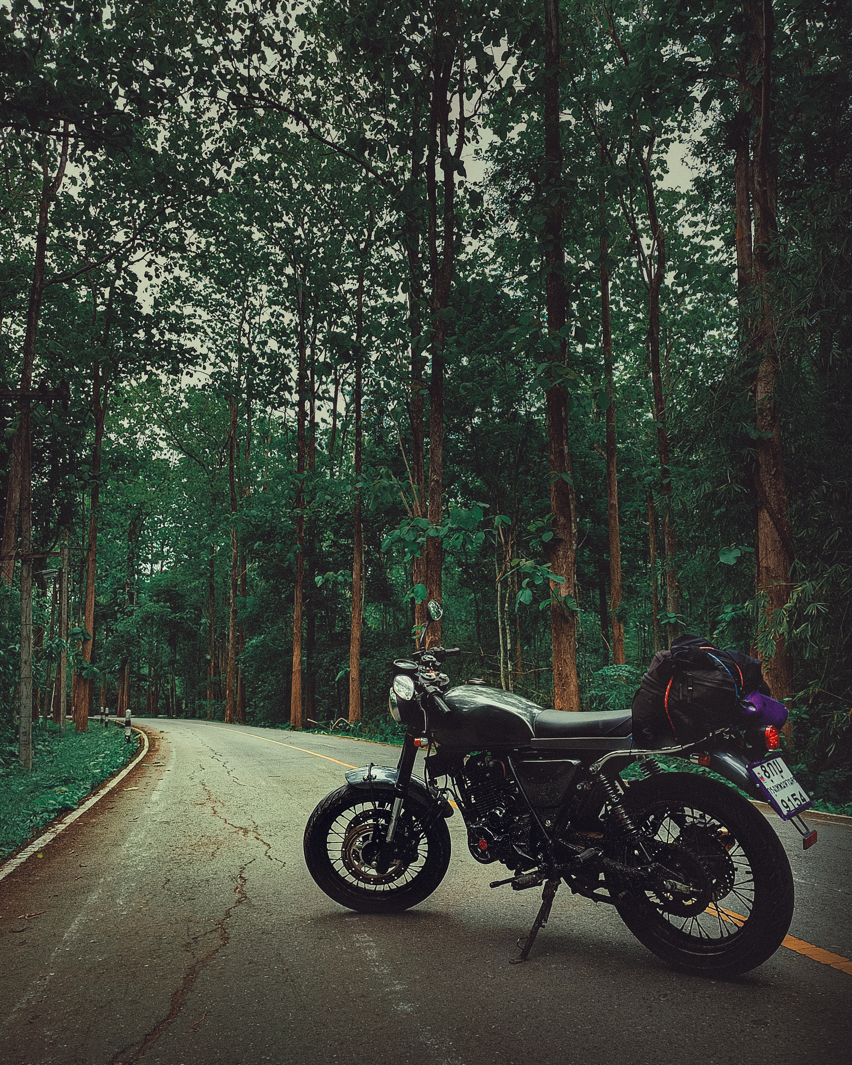 Motorcycle Bike Black Road Forest