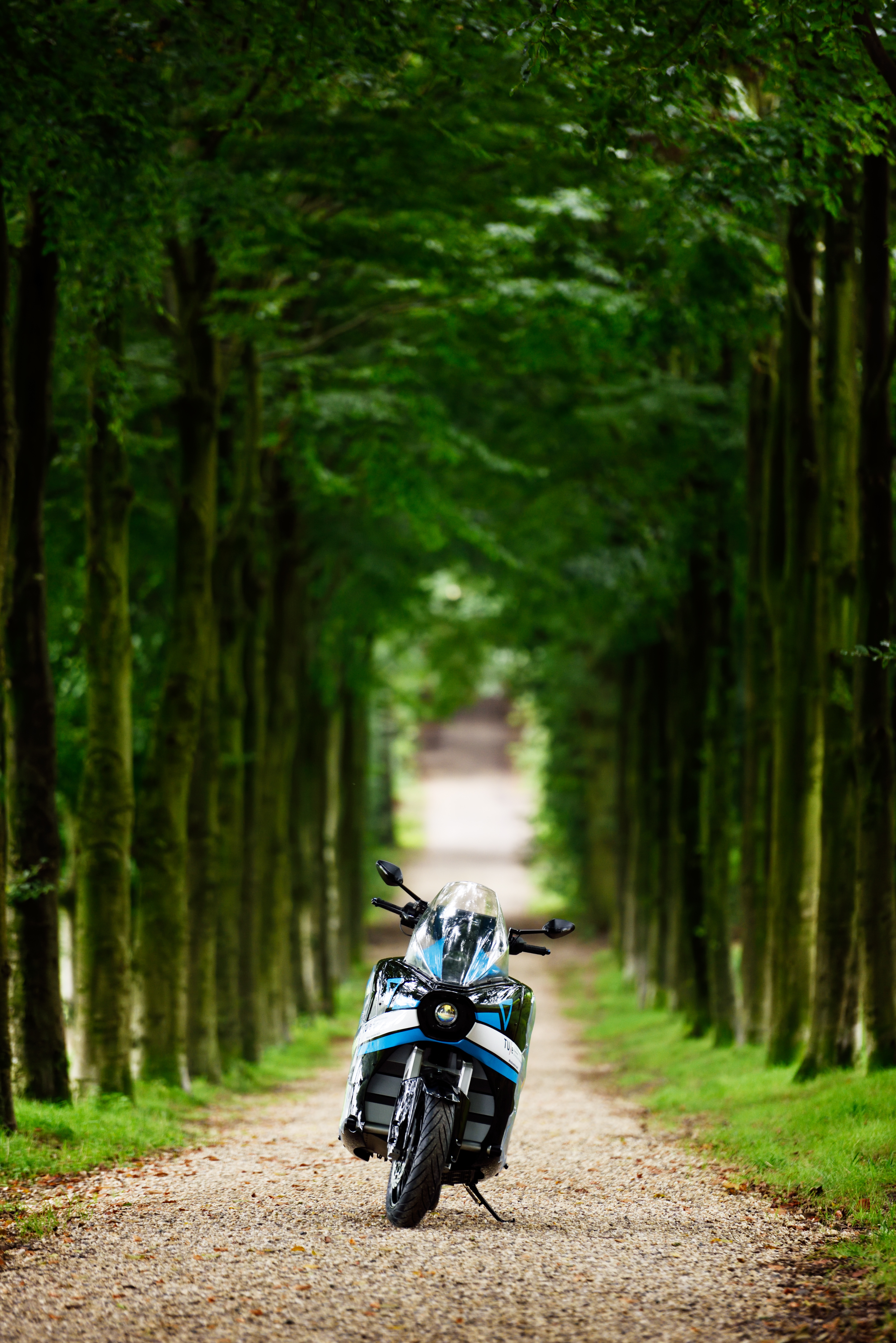 Motorcycle Blue Forest Trees