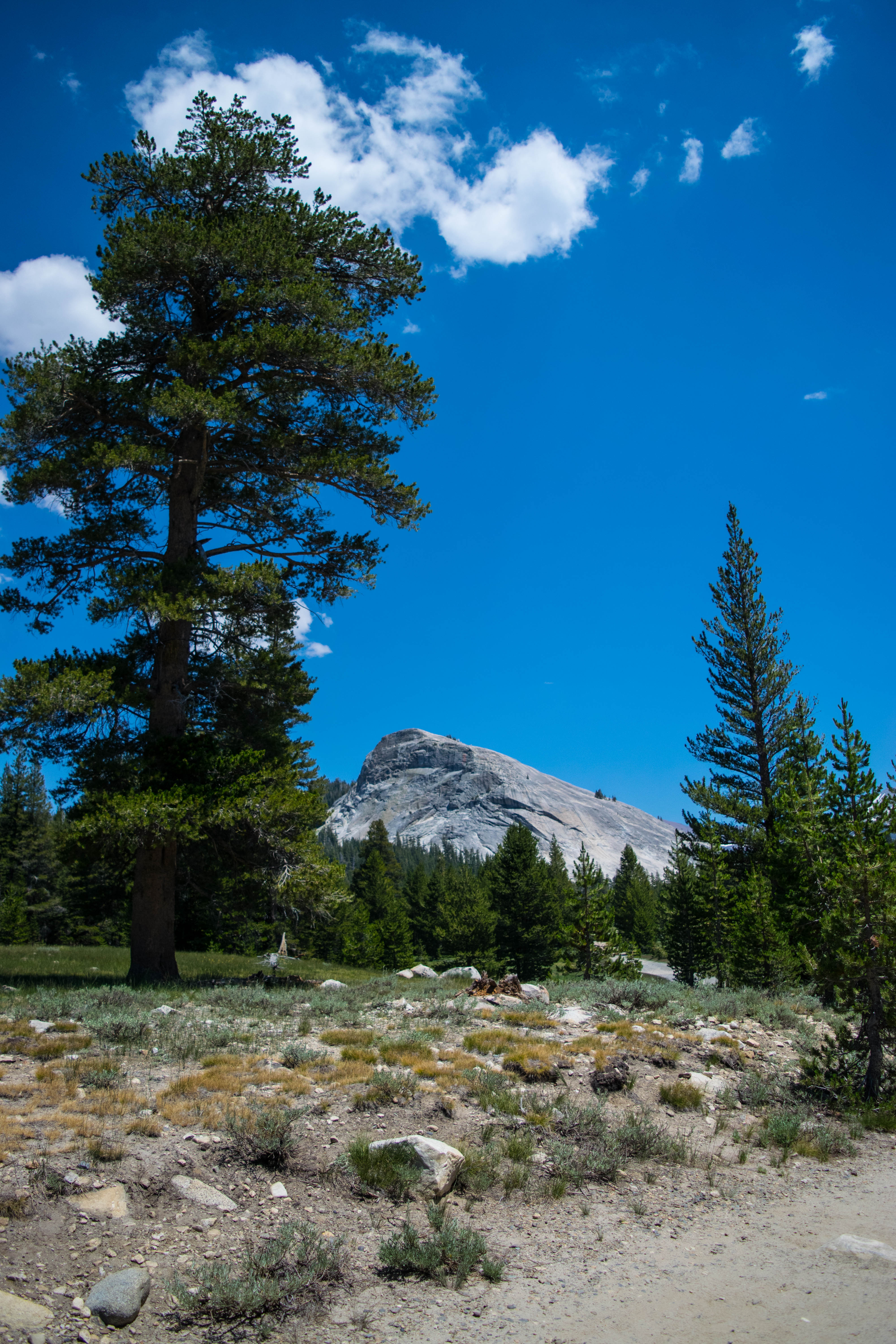 Mountain Forest Trees Sky Landscape Nature