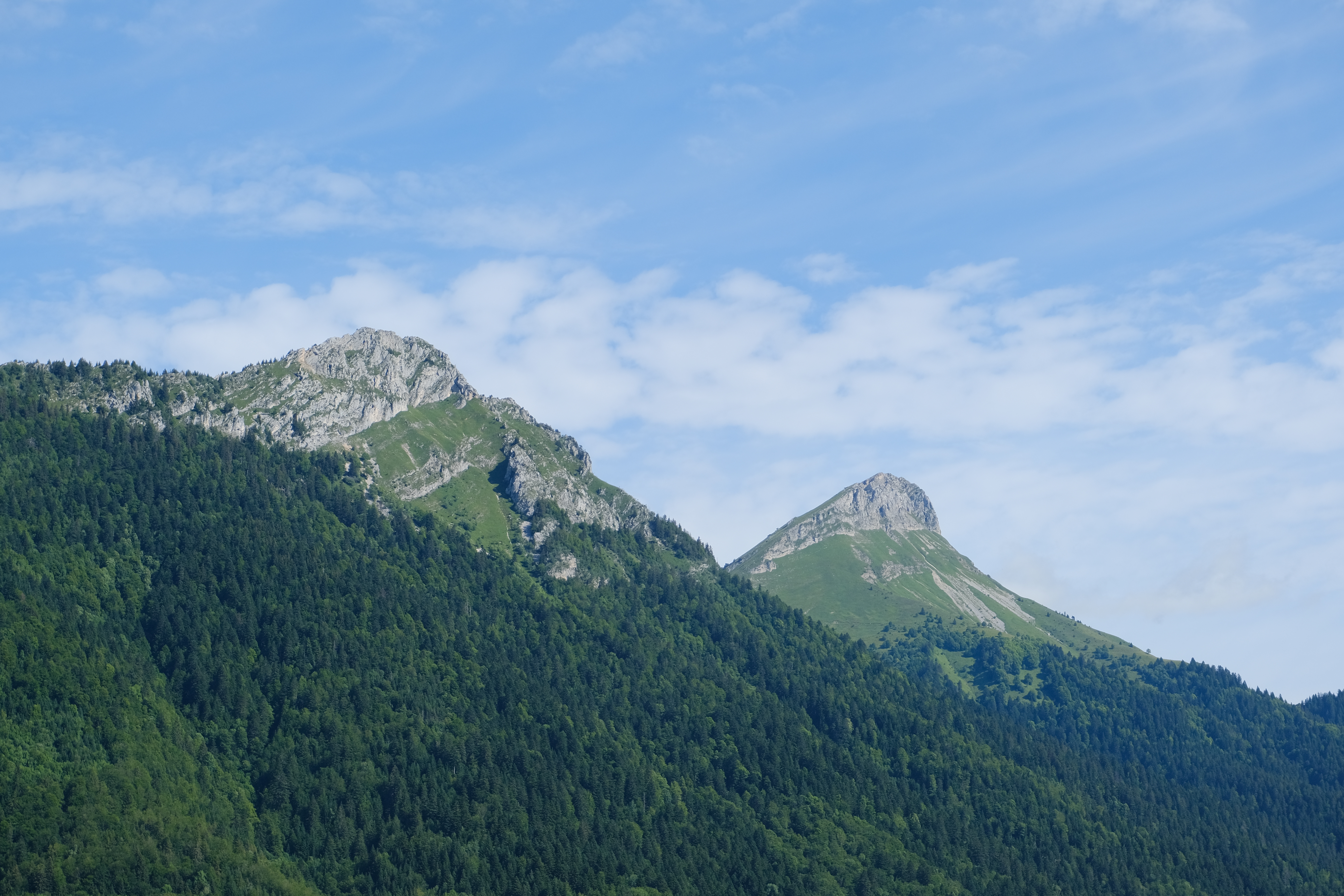 Mountain Landform Trees Forest Landscape Nature