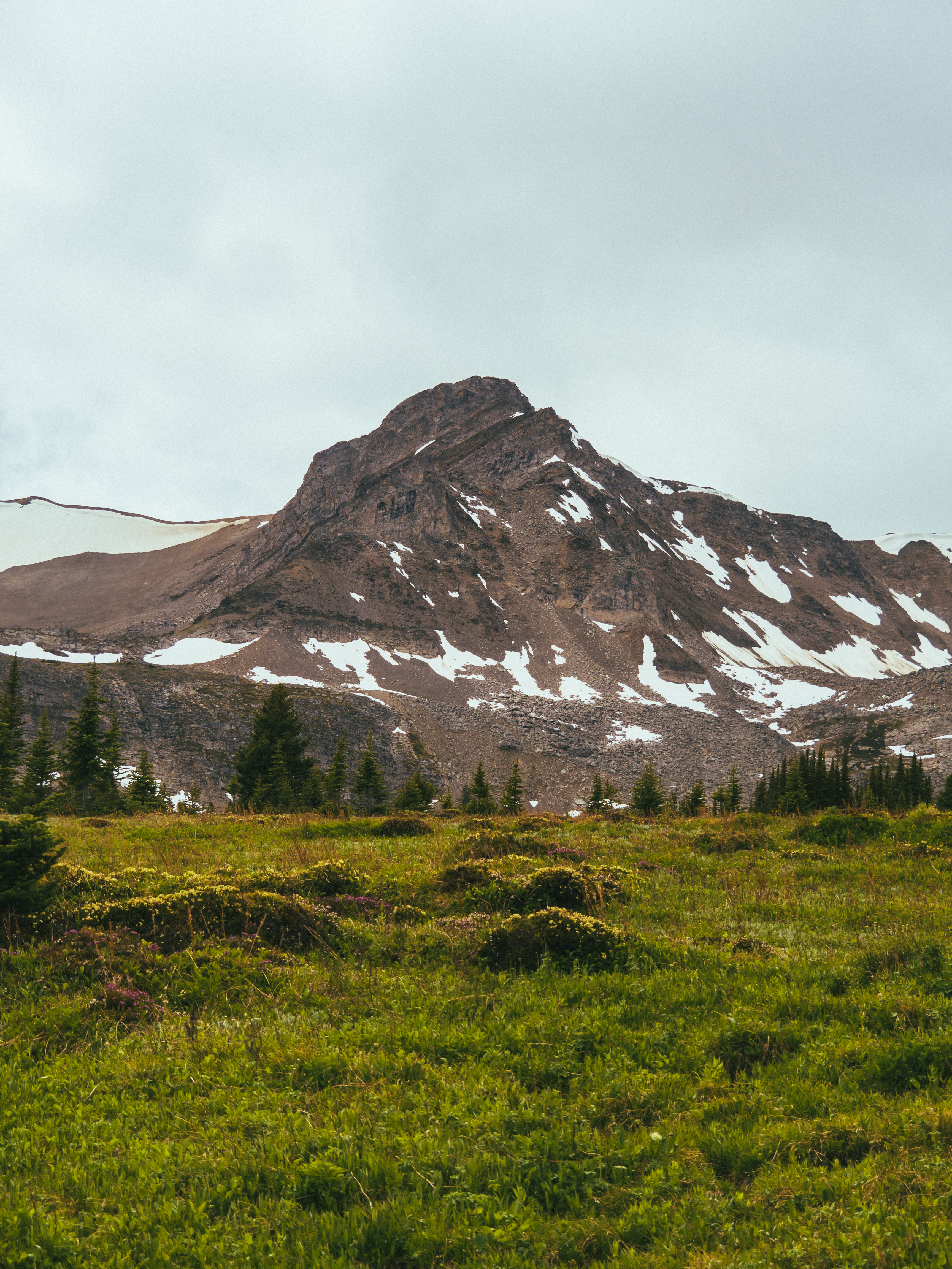 Mountain Peak Snow Trees Nature Landscape