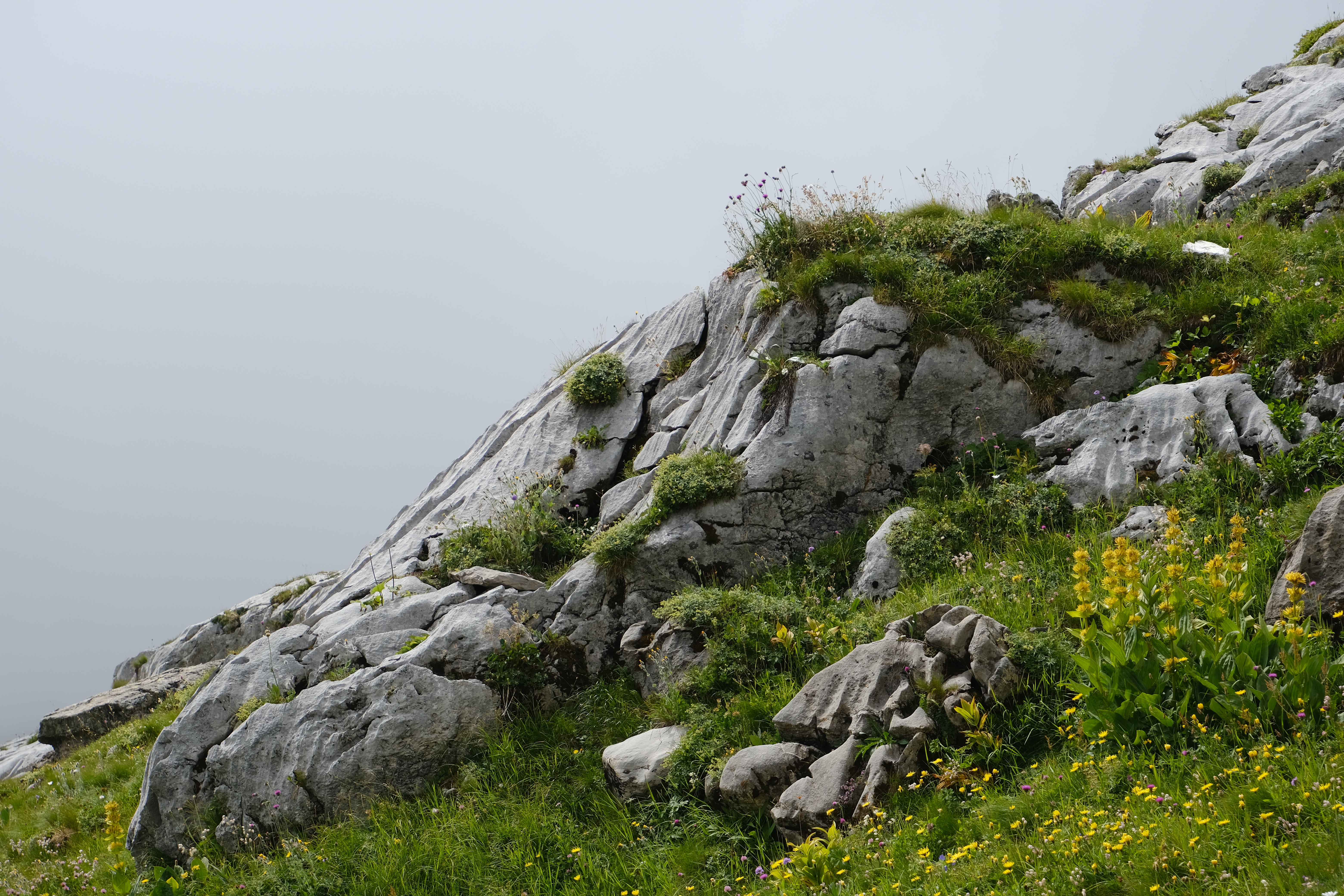 Mountain Stones Grass Nature