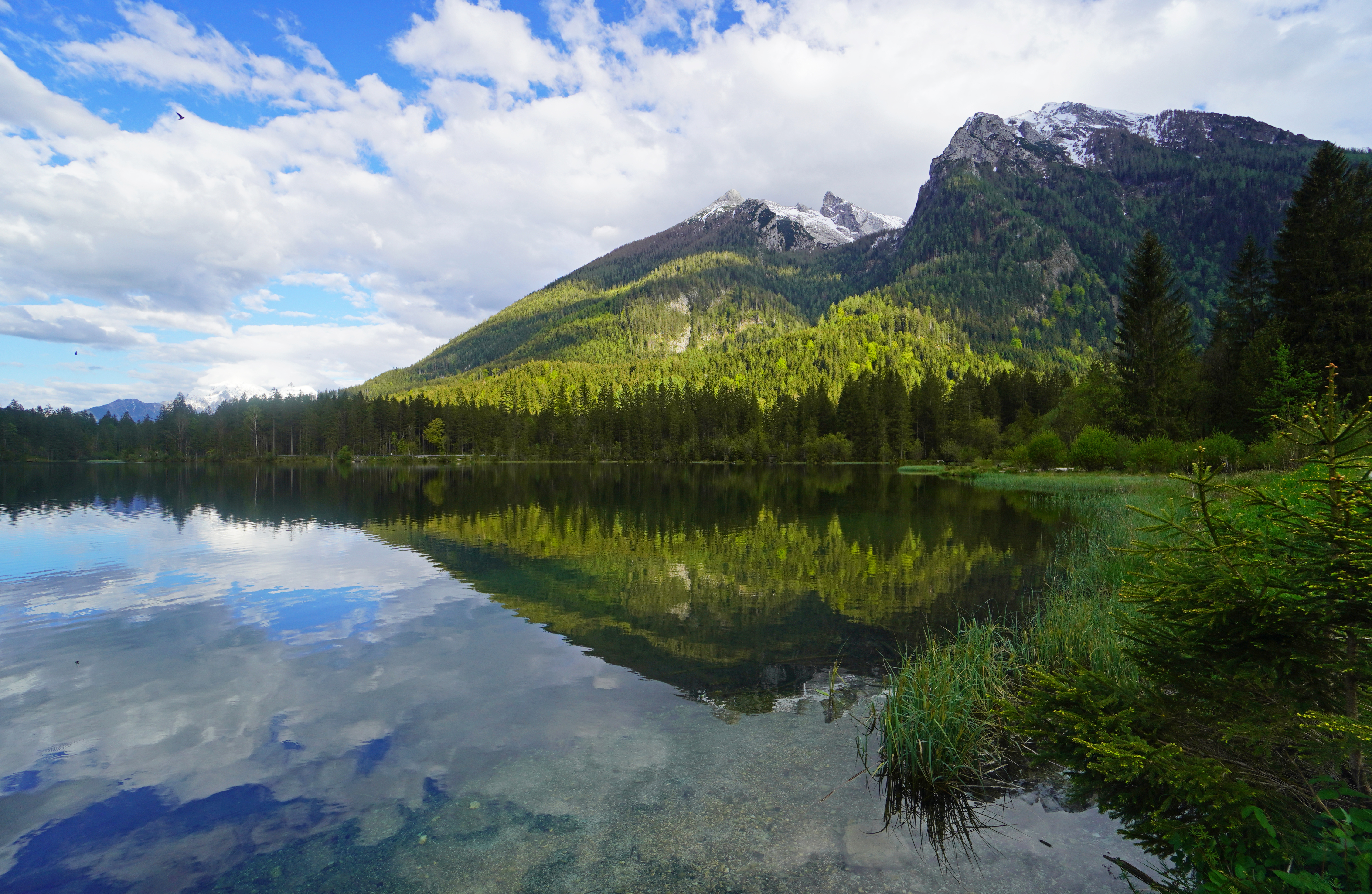 Mountains Forest Lake Reflection Landscape