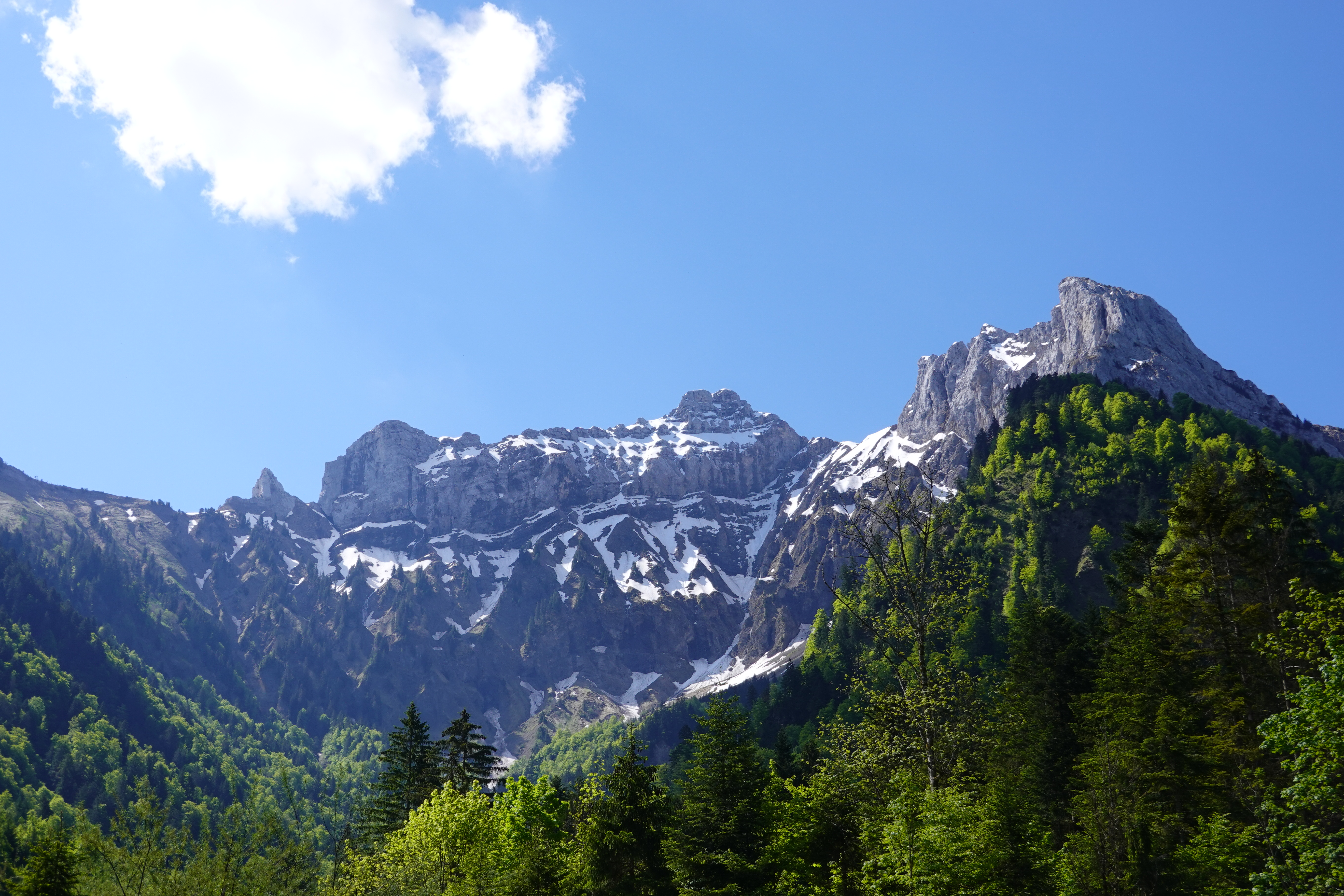 Mountains Forest Trees Clouds Nature Landscape