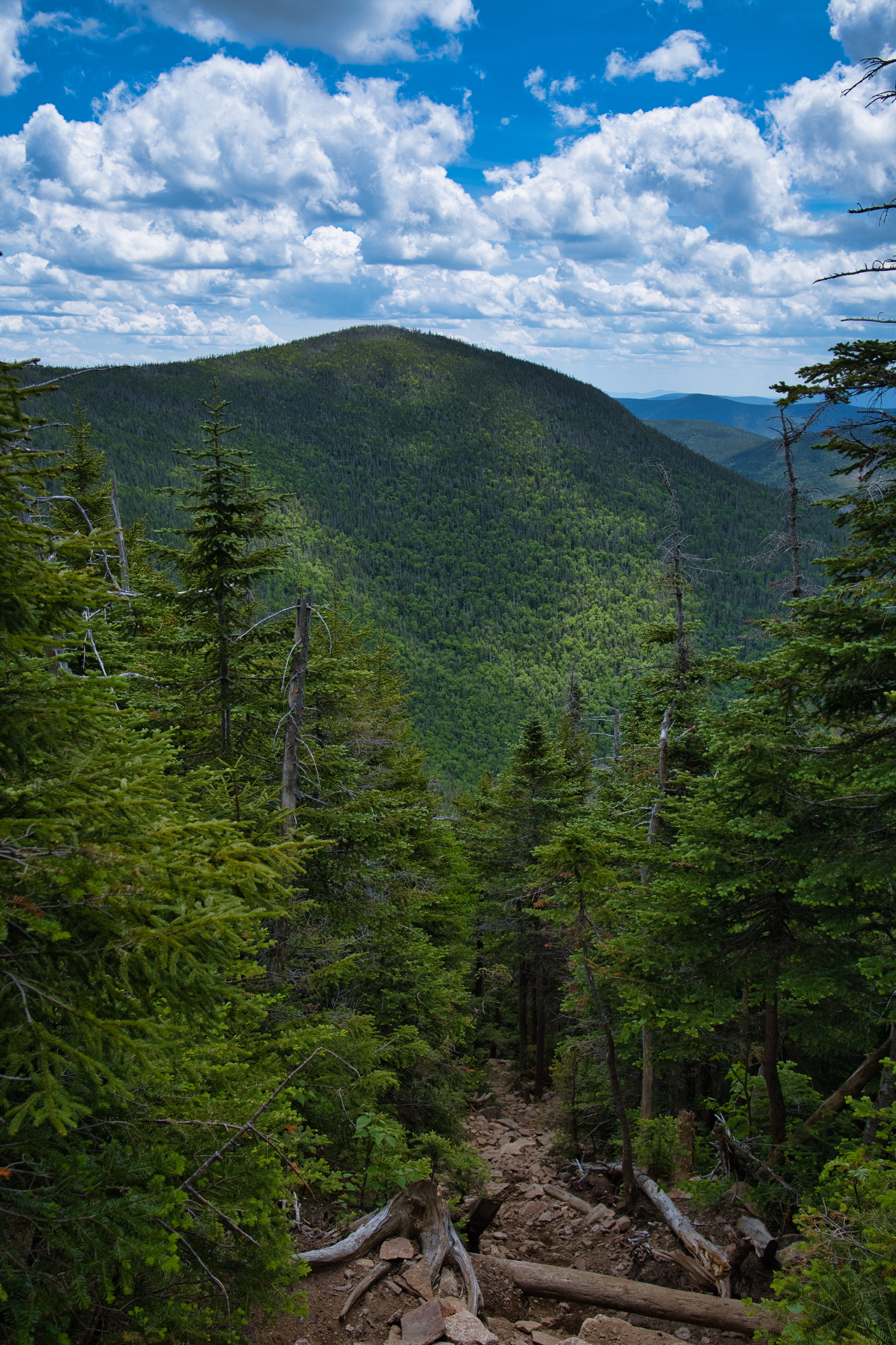 Mountains Forest Trees Sky Clouds Landscape Nature