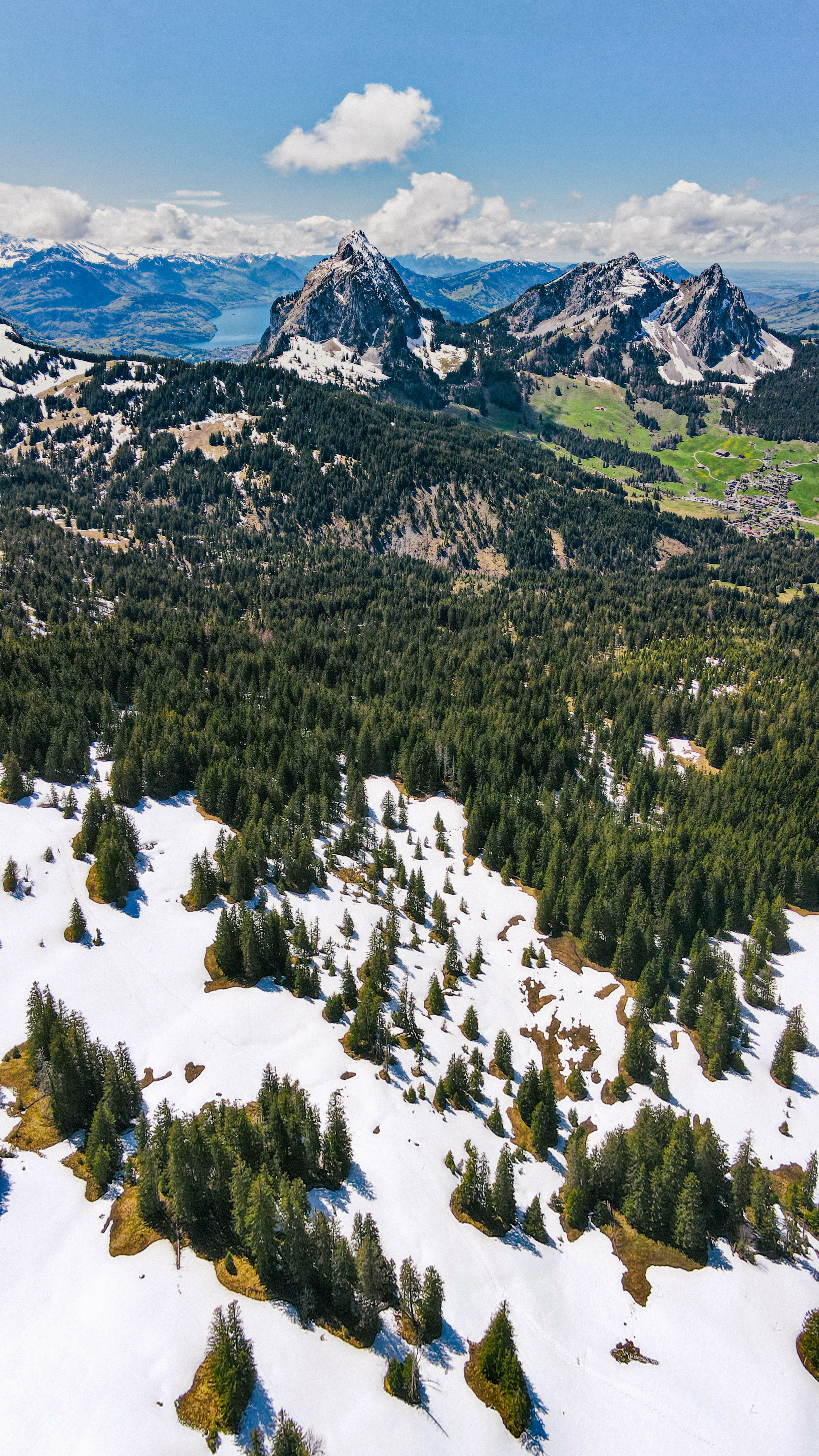 Mountains Forest Trees Snow Landscape Aerial-view