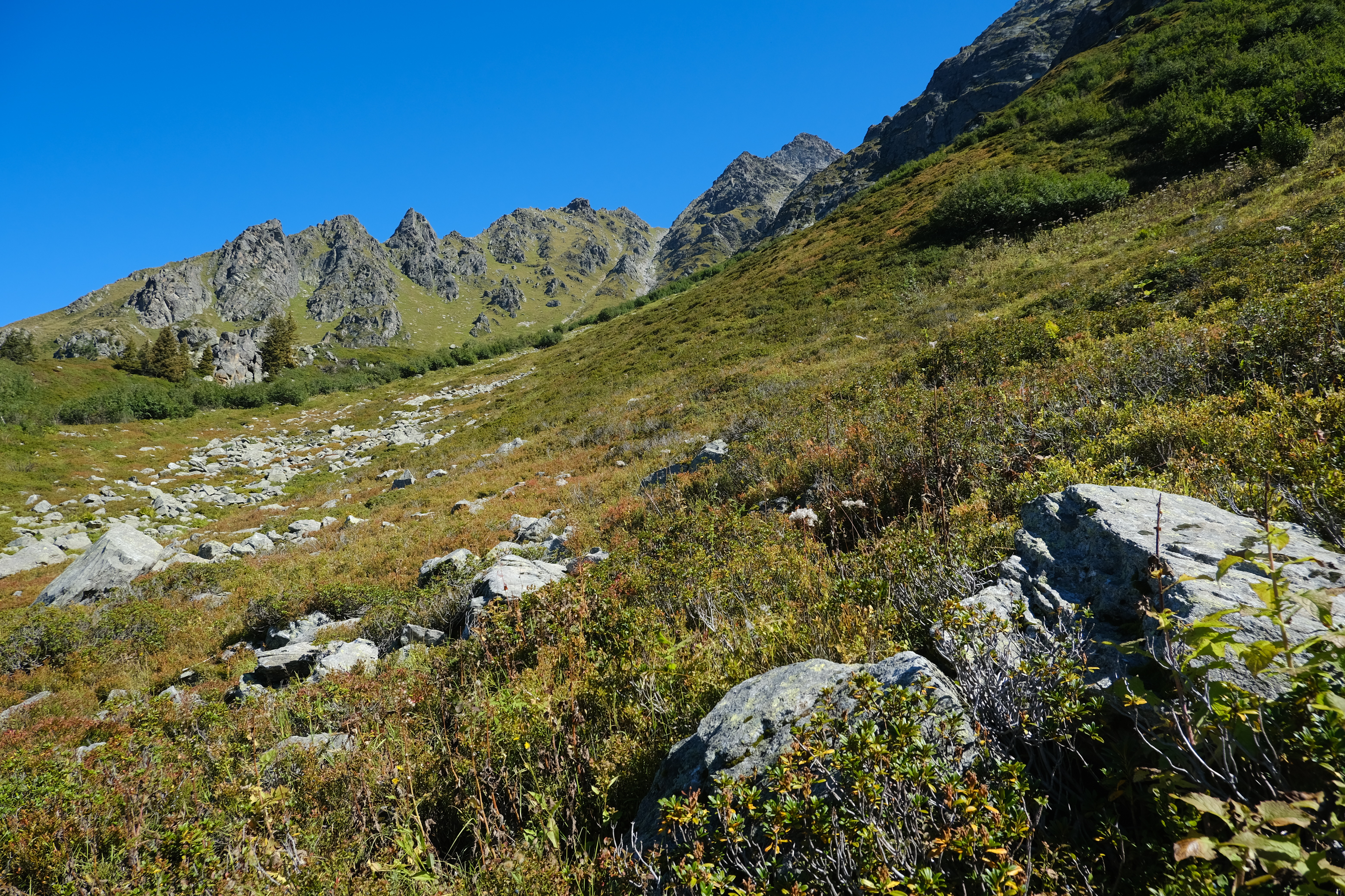 Mountains Piedmont Grass Nature Landscape