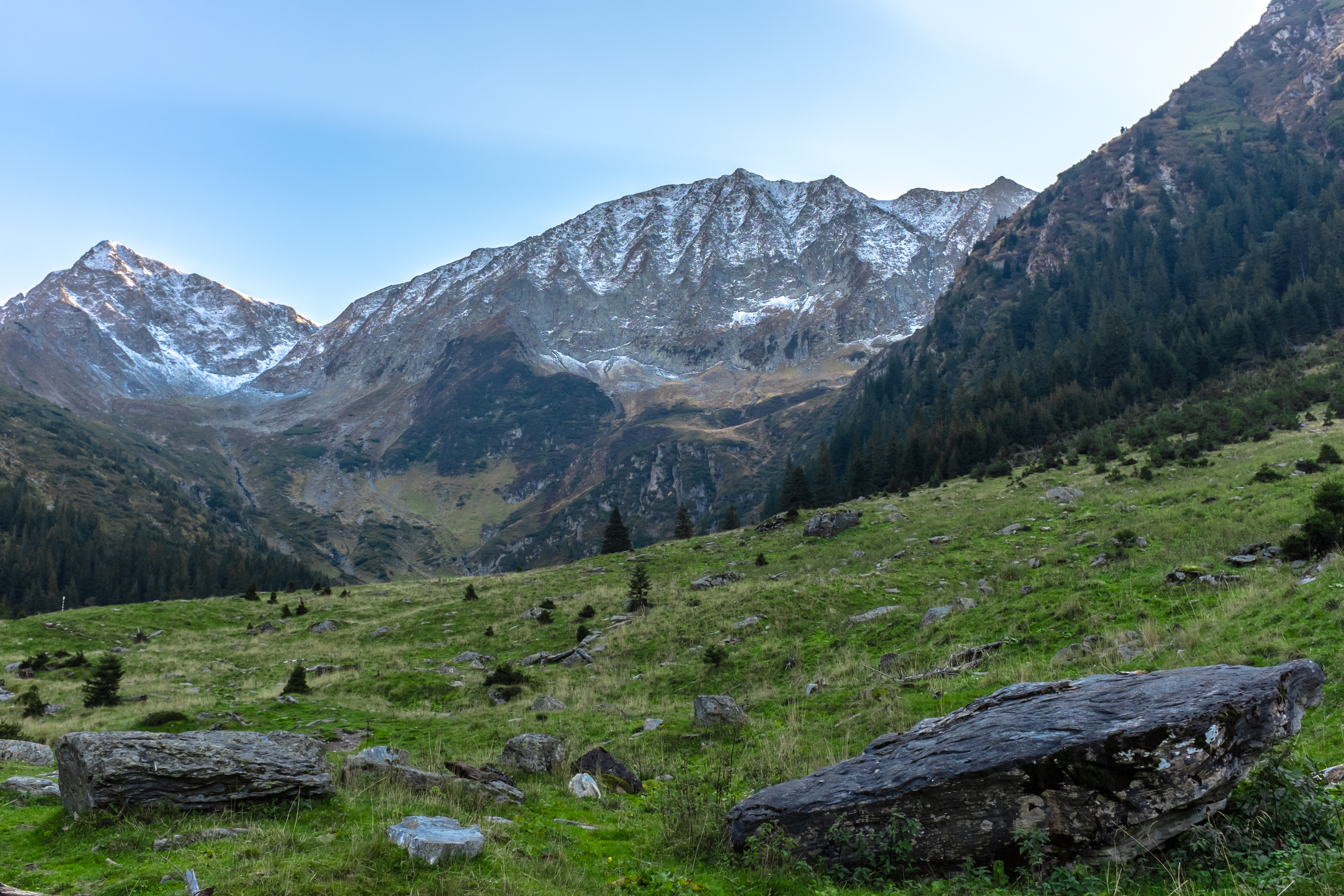 Mountains Relief Trees Landscape