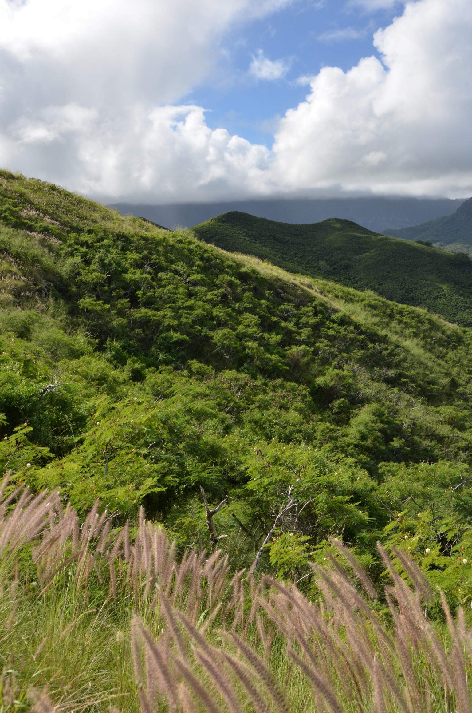 Mountains Slope Grass Greenery Landscape