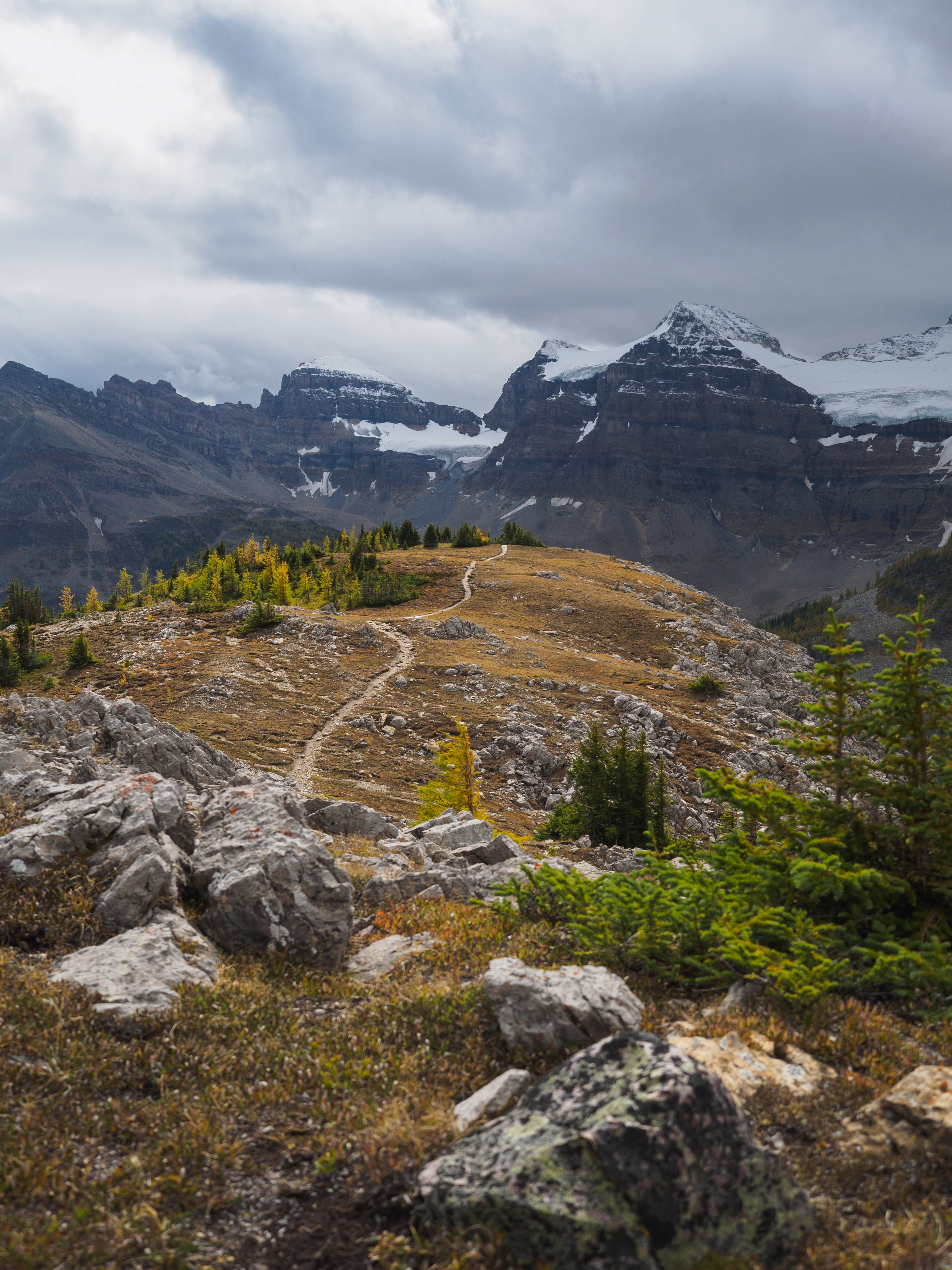 Mountains Snow Trees Path Nature Landscape