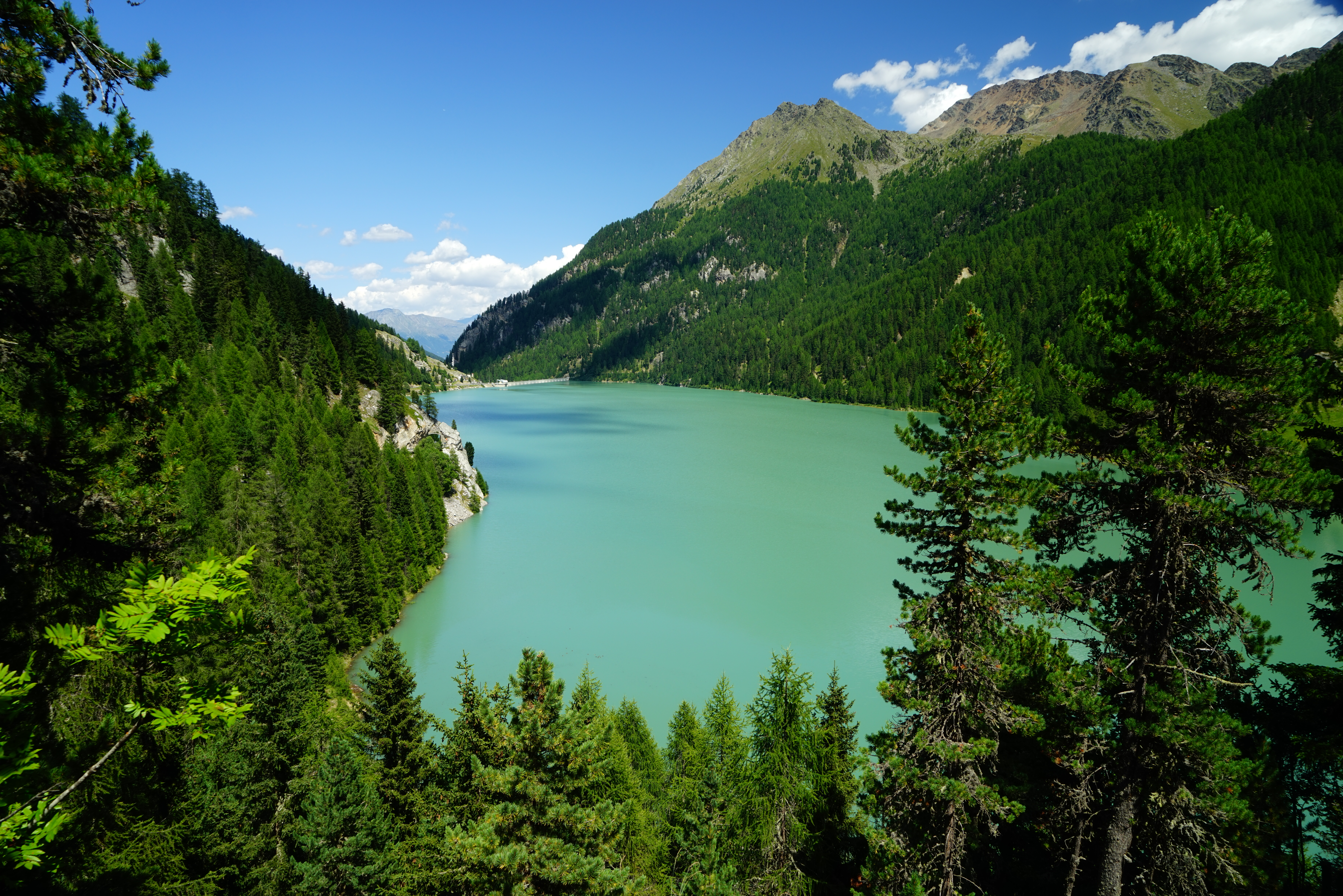 Mountains Trees Forest Lake Landscape Aerial-view