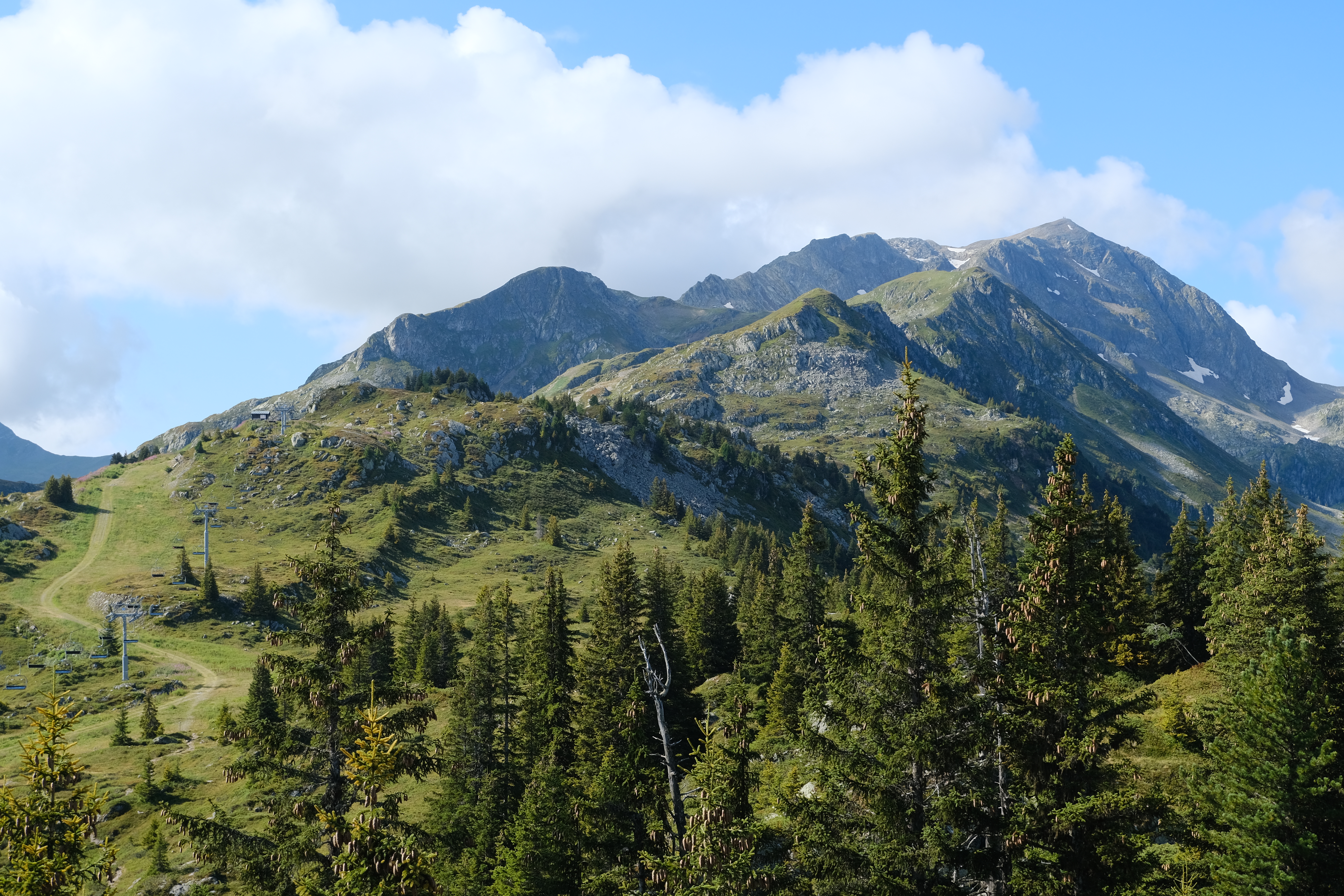 Mountains Trees Forest Relief Landscape Nature