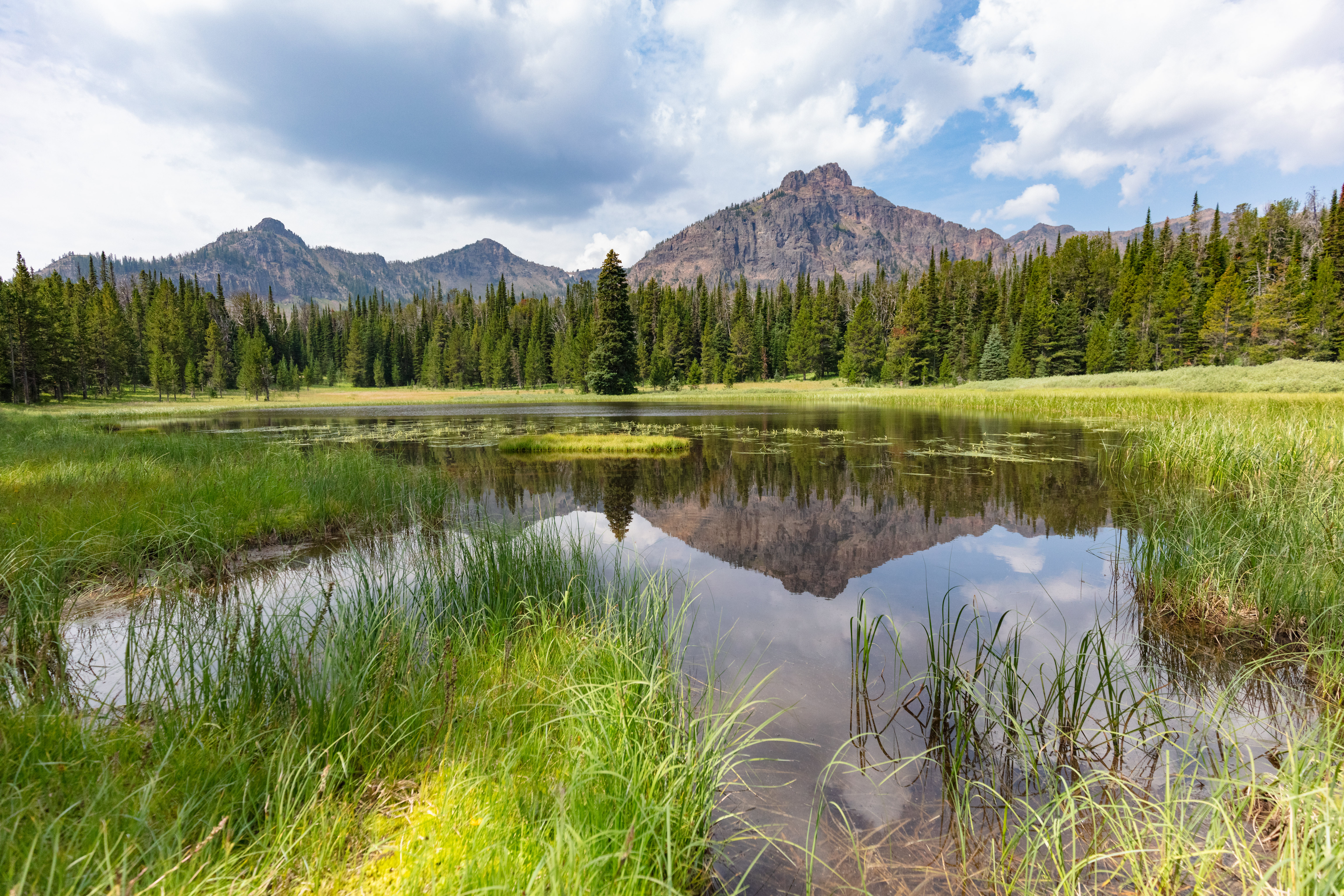 Mountains Trees Lake Grass Nature Landscape