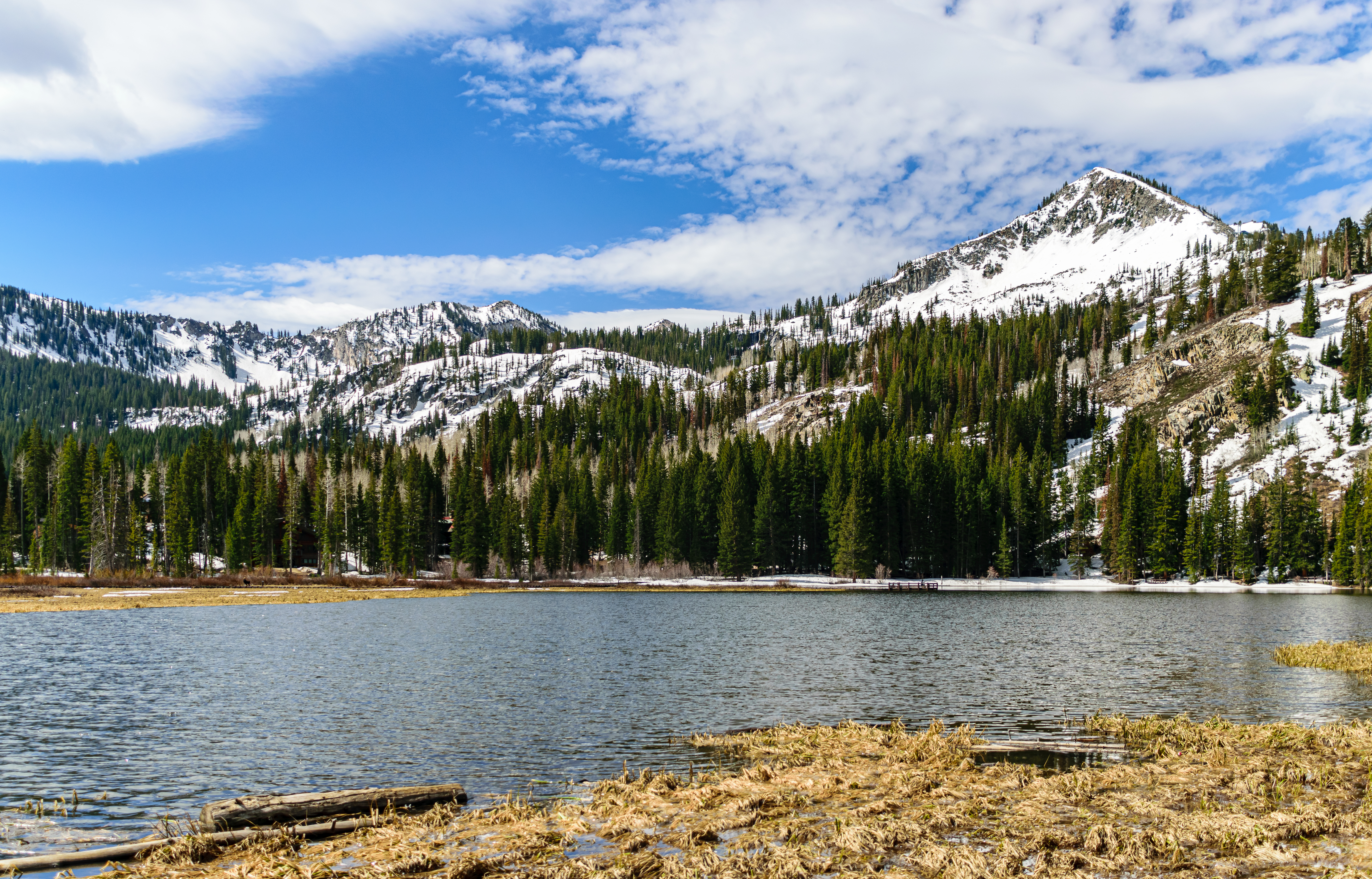 Mountains Trees Lake Landscape