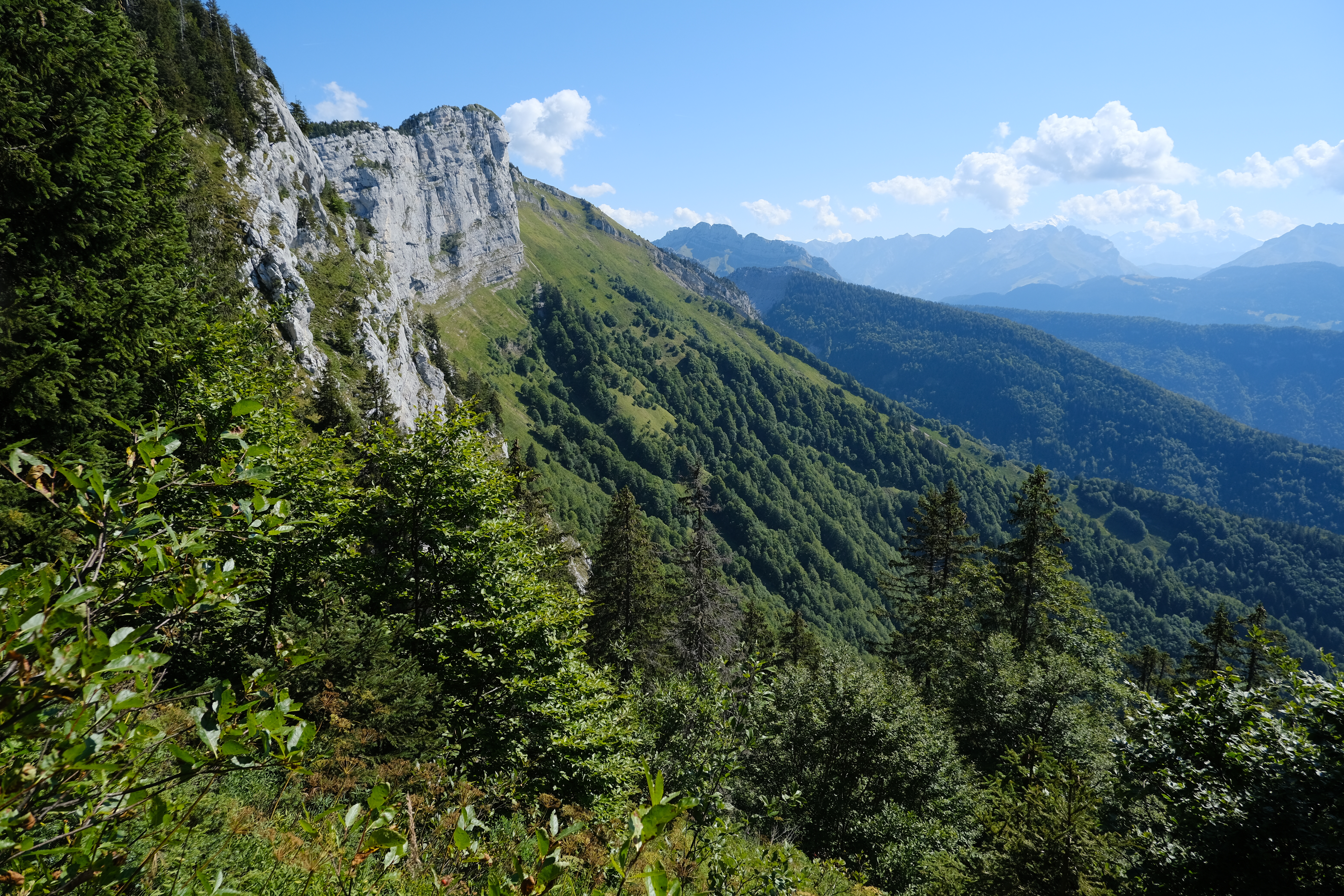 Mountains Trees Nature