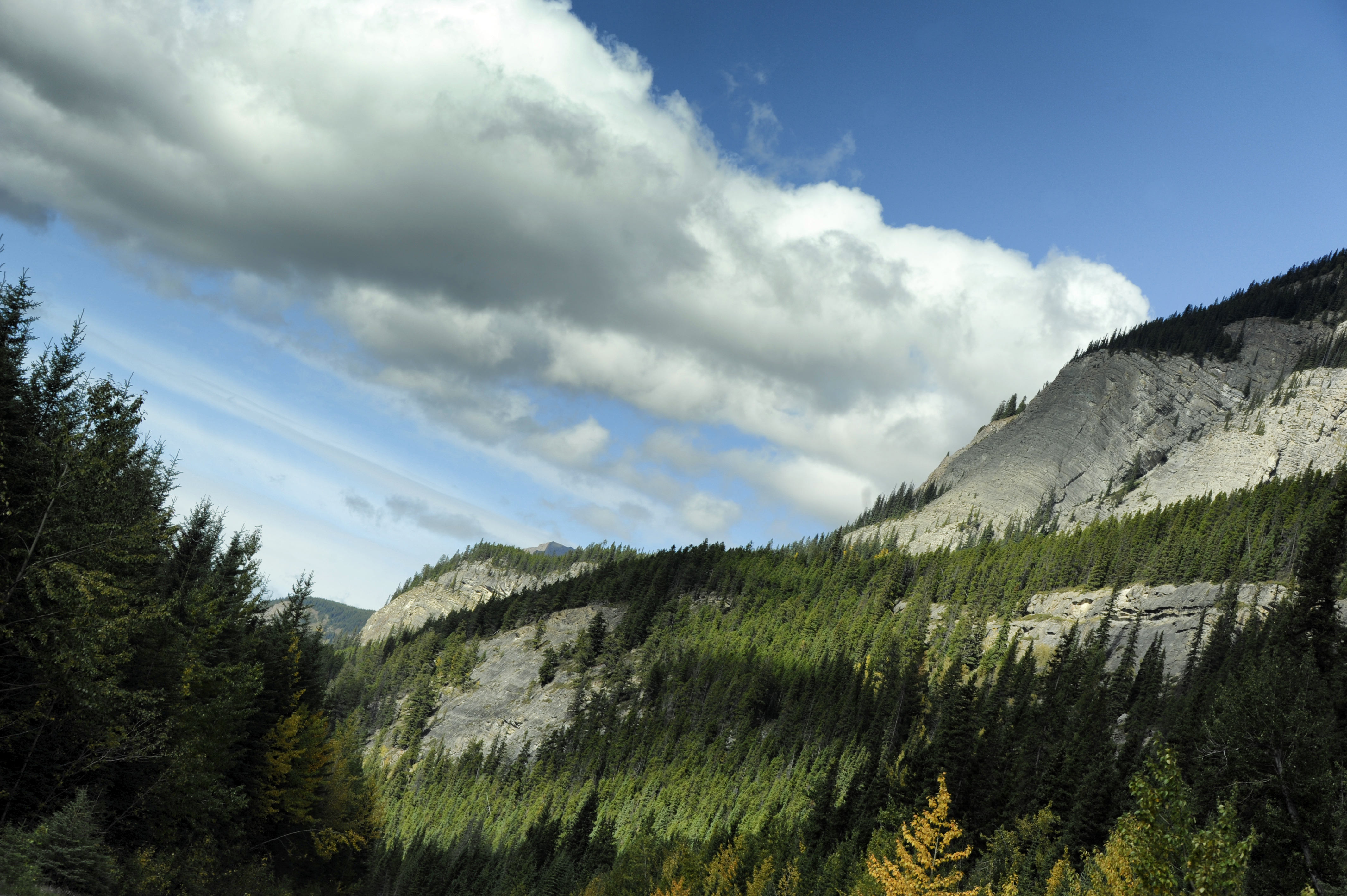 Mountains Trees Relief Clouds Nature