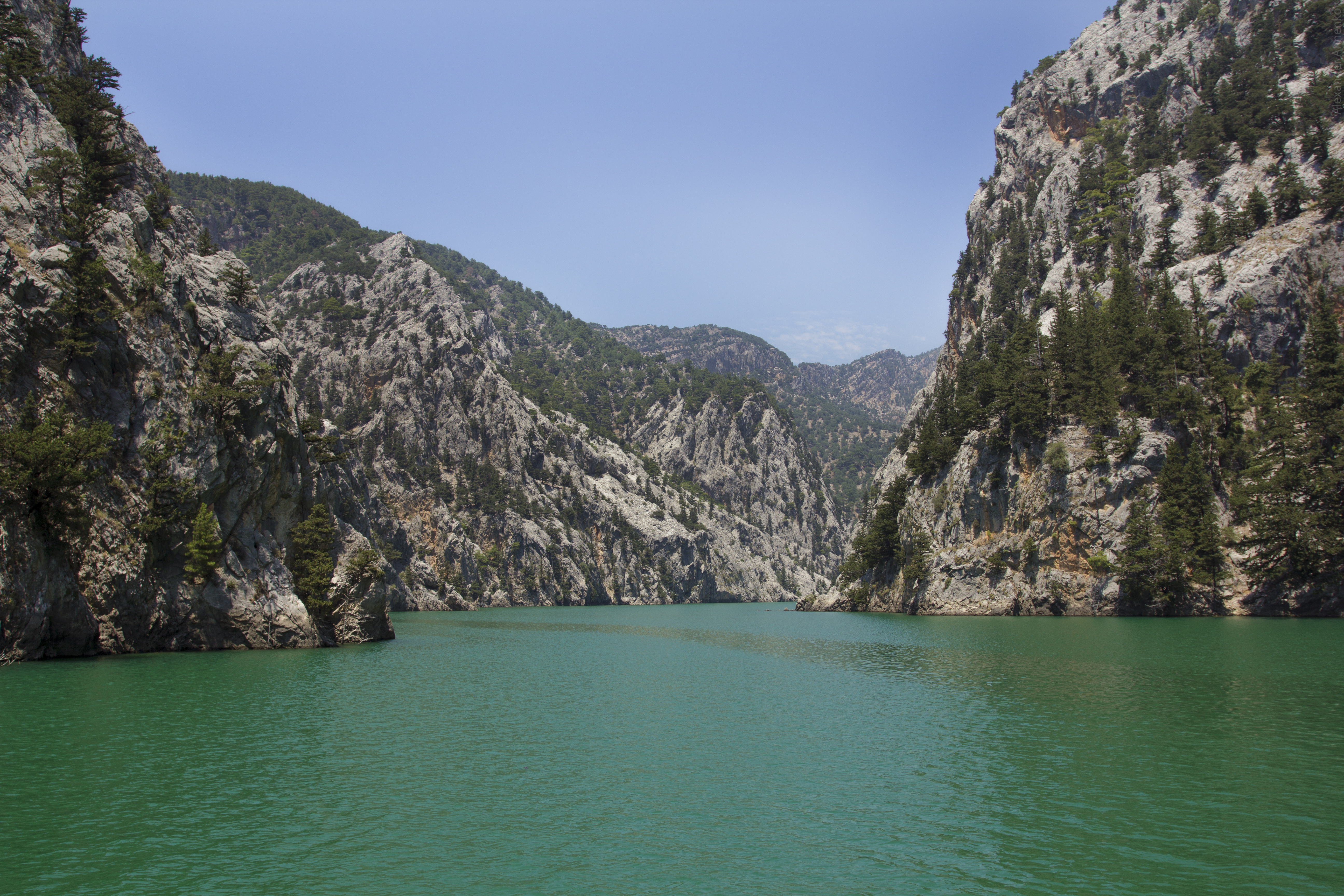 Mountains Trees River Landscape