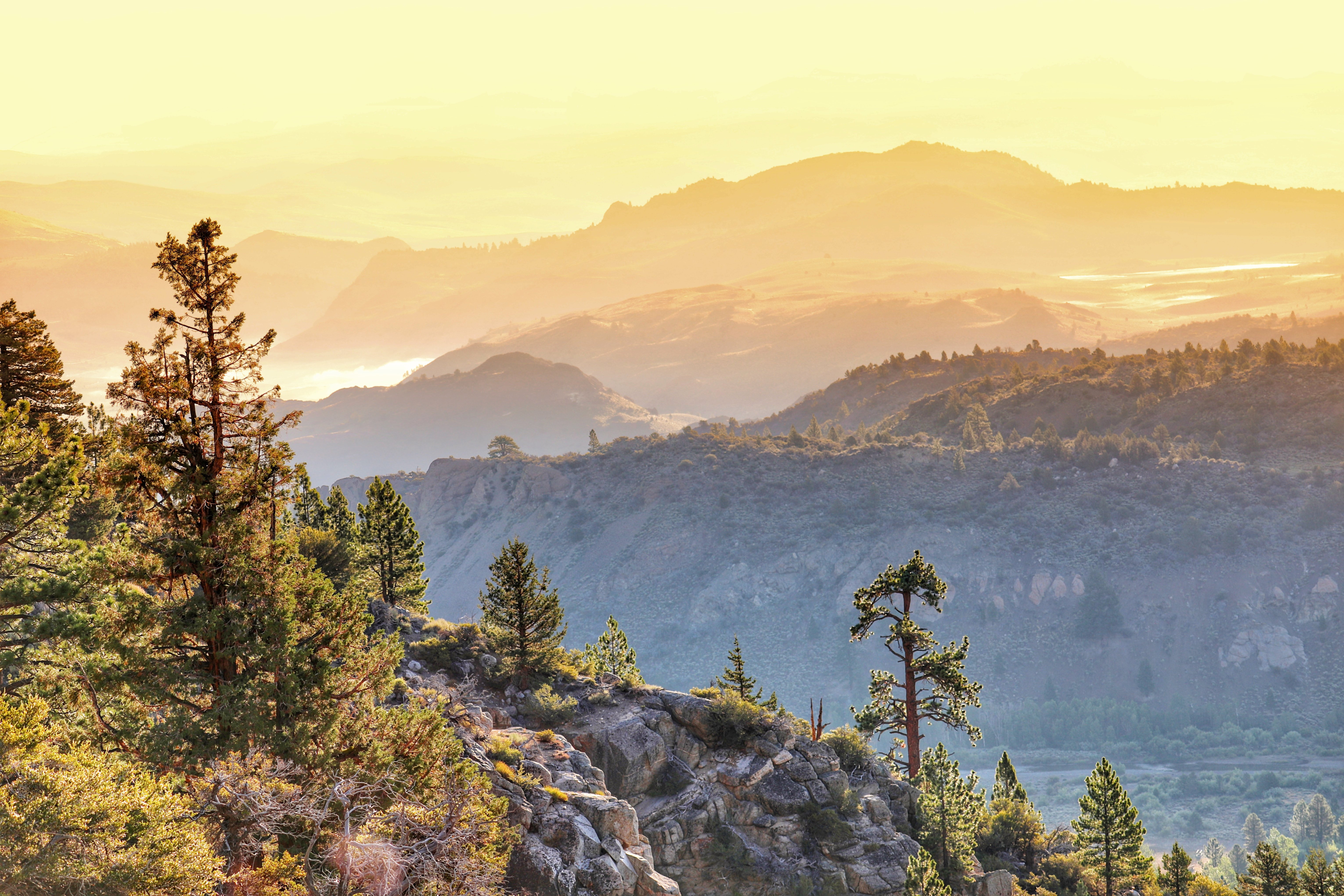 Mountains Trees Twilight Landscape